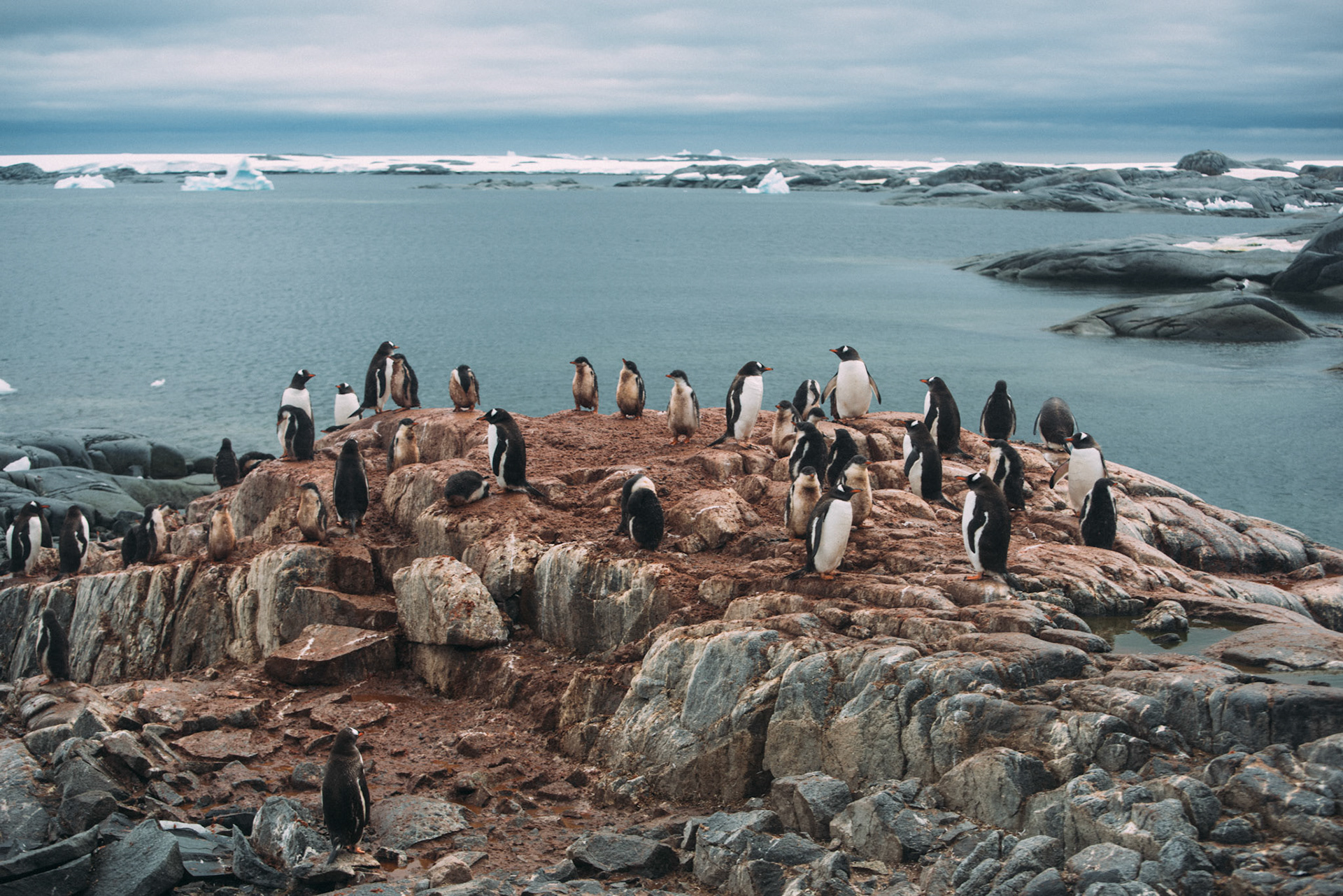 500px Photo ID: 201544661 -