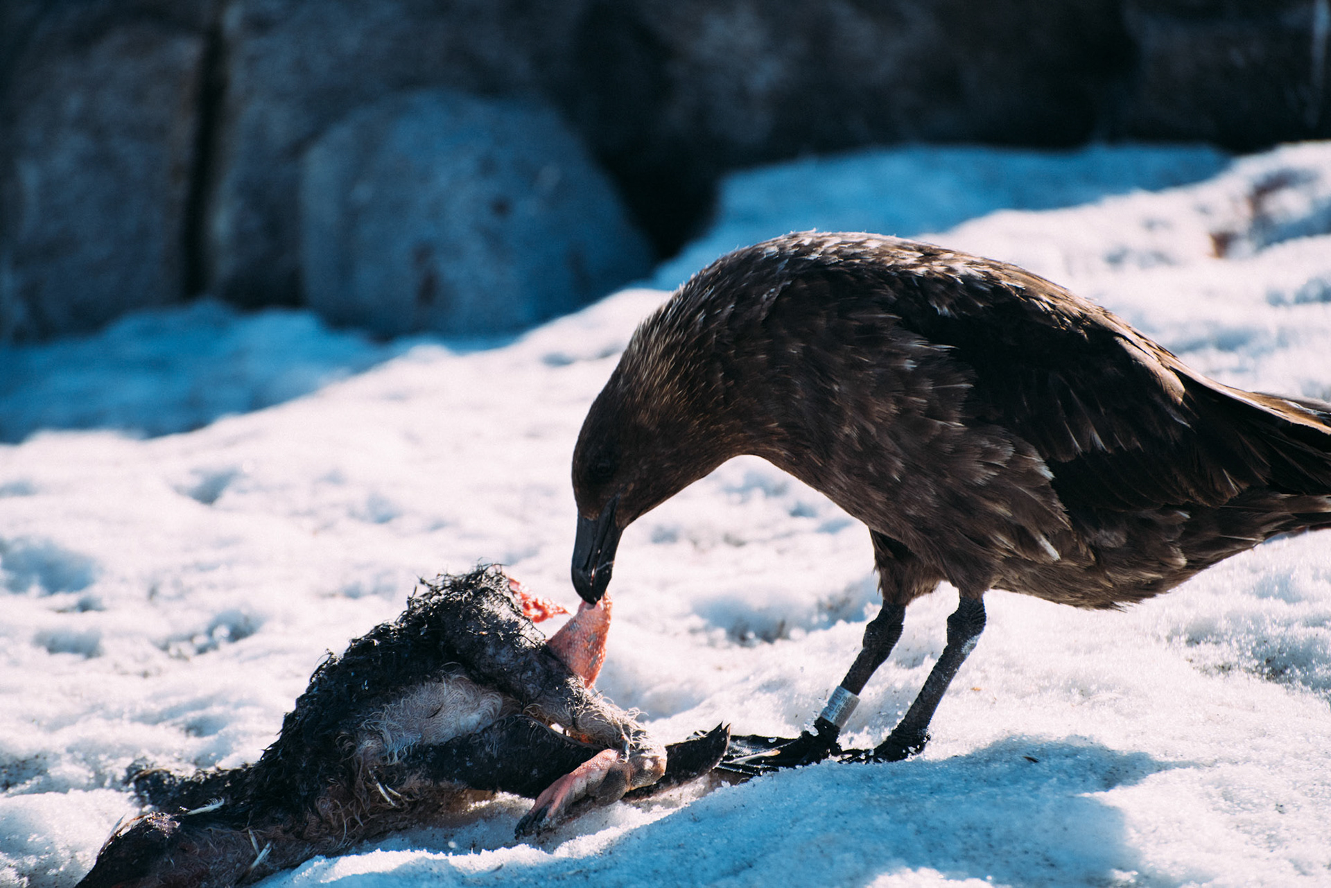 500px Photo ID: 201626383 -