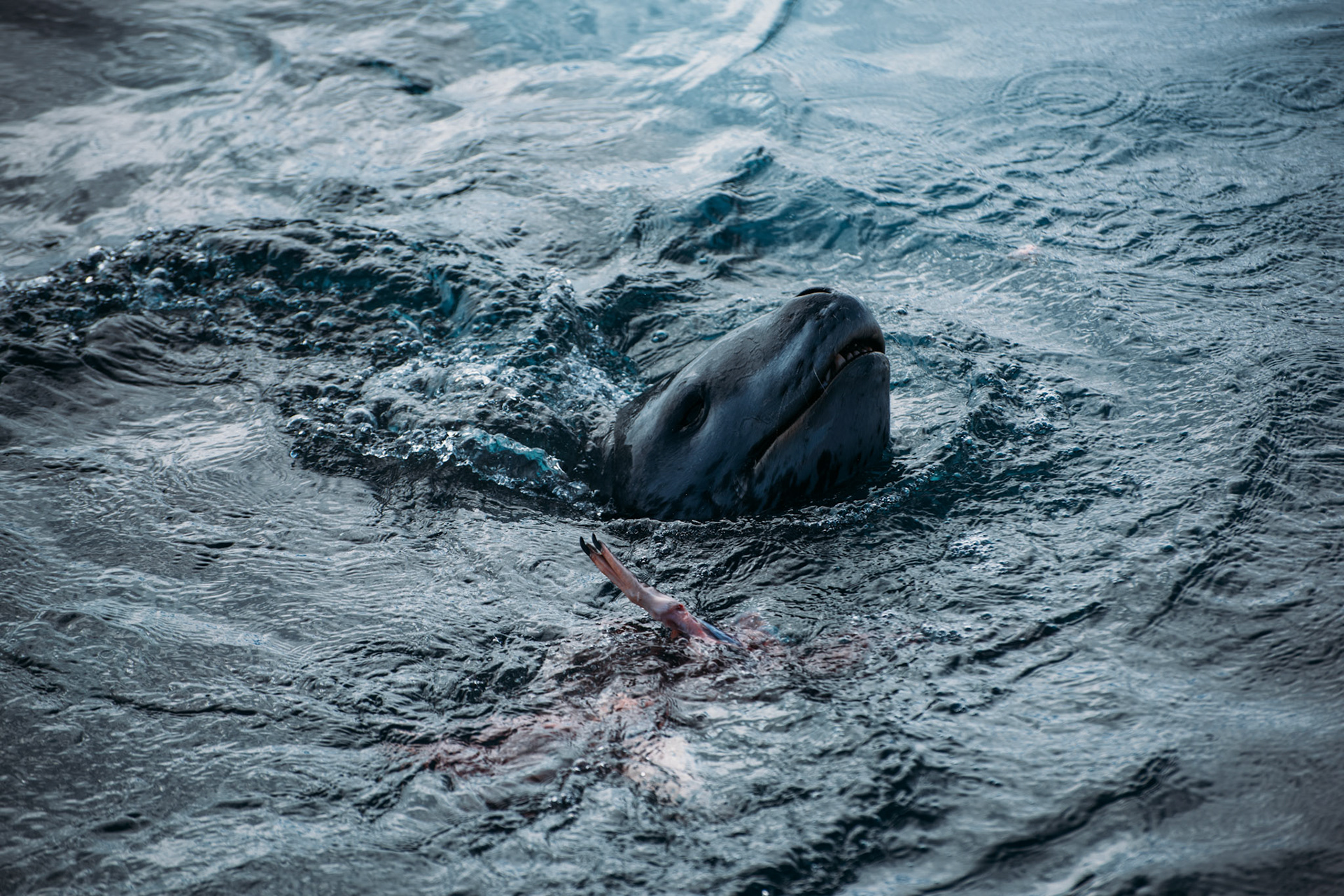 500px Photo ID: 201635443 -