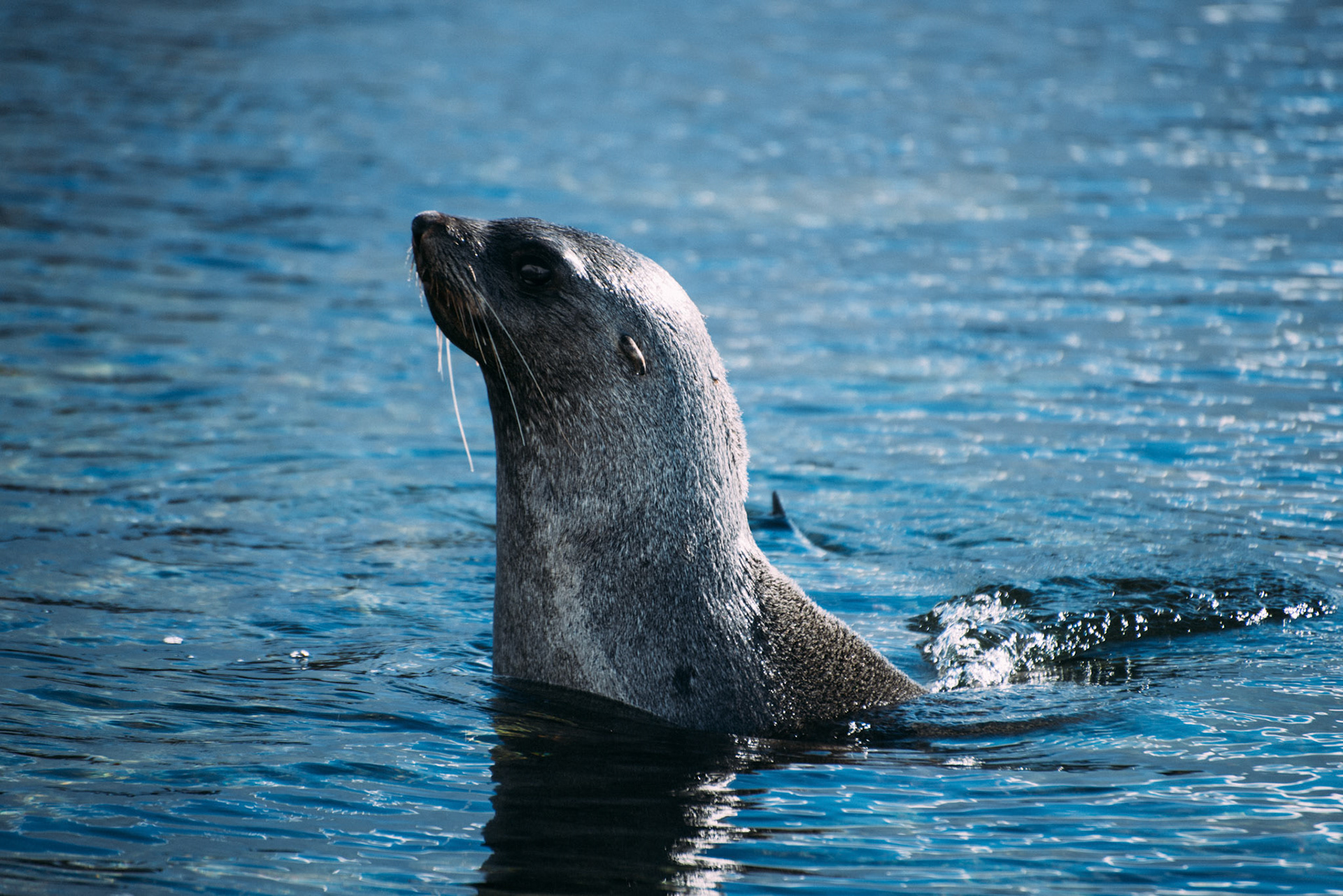 500px Photo ID: 201703509 -