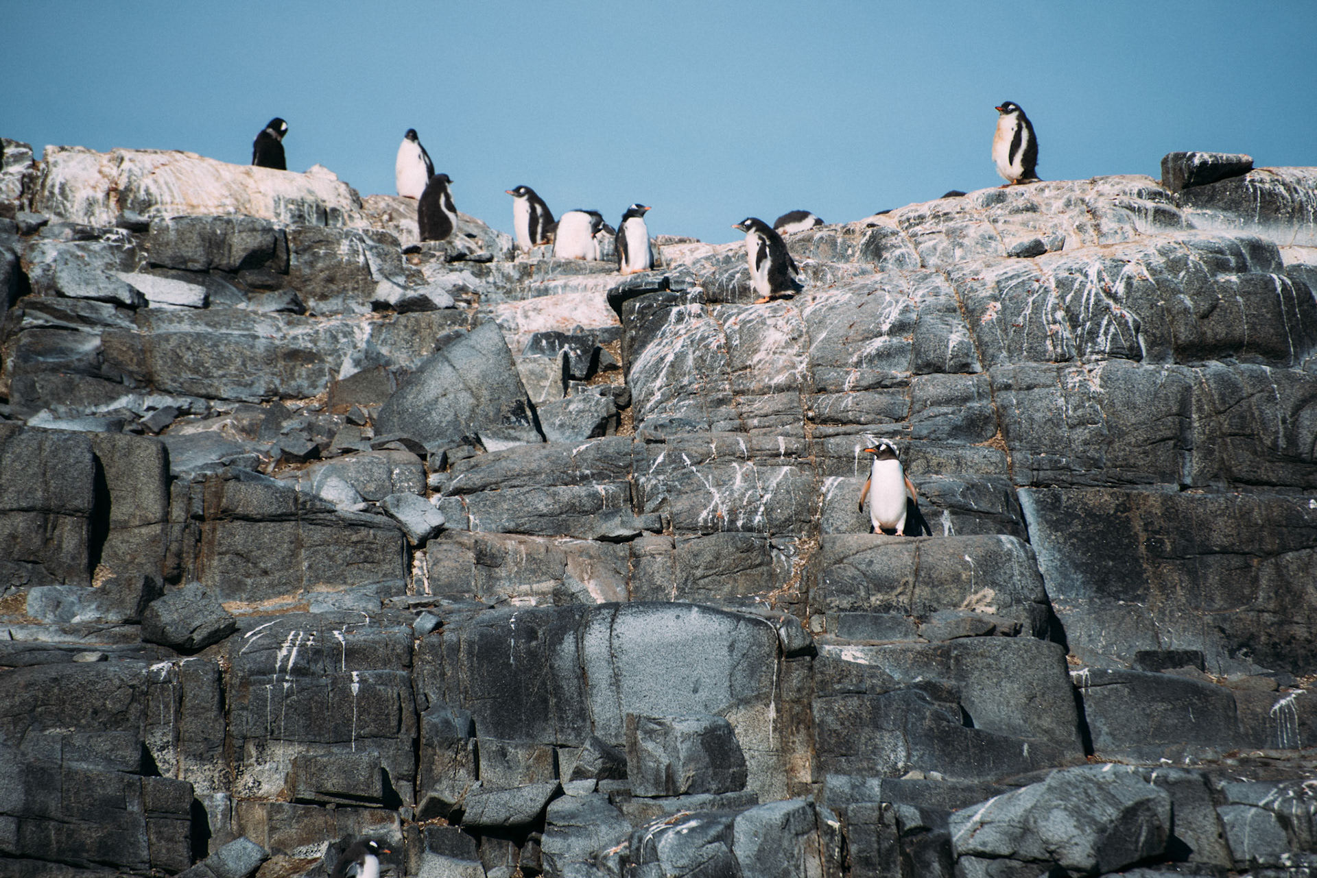 500px Photo ID: 201618815 -