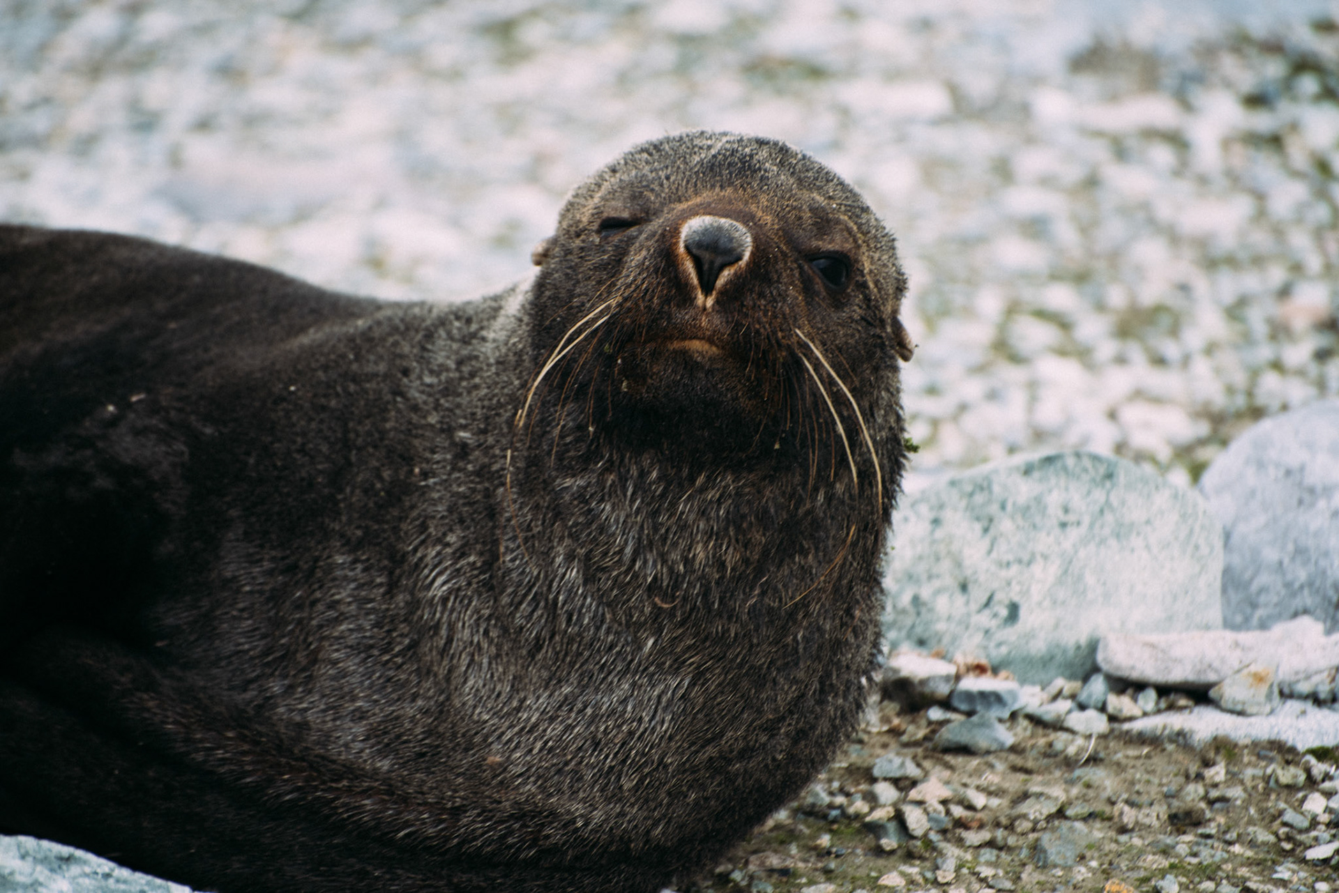500px Photo ID: 201668207 -