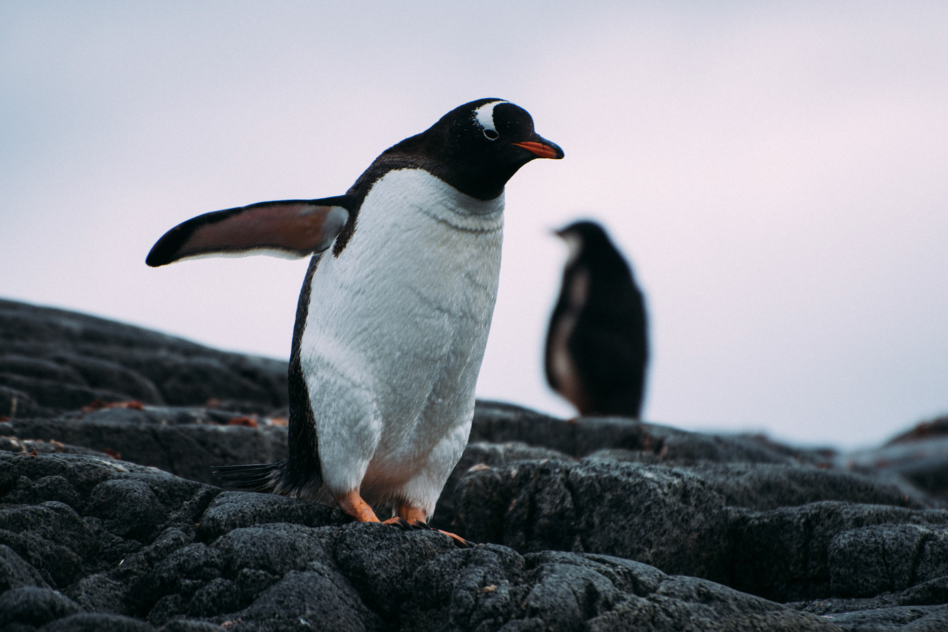 500px Photo ID: 201538439 -