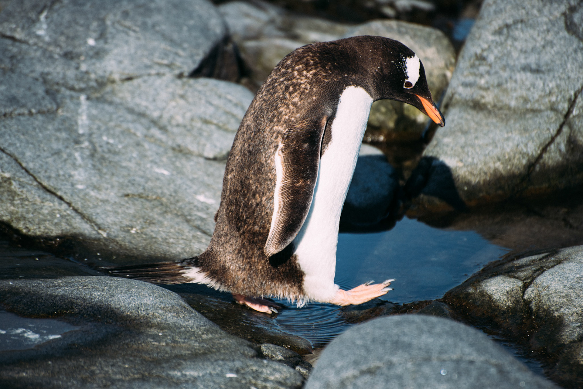 500px Photo ID: 201615675 -