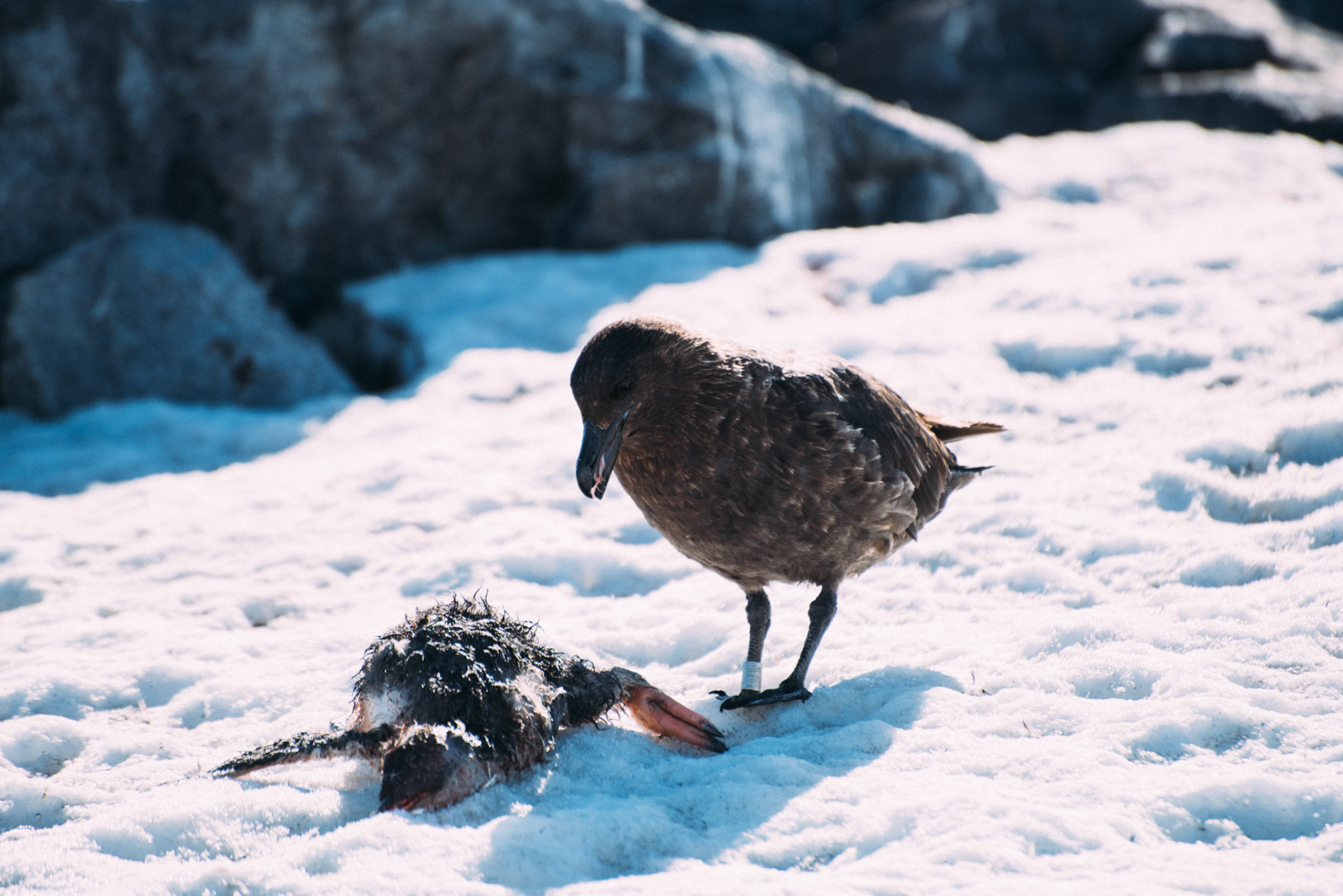 500px Photo ID: 201624621 -