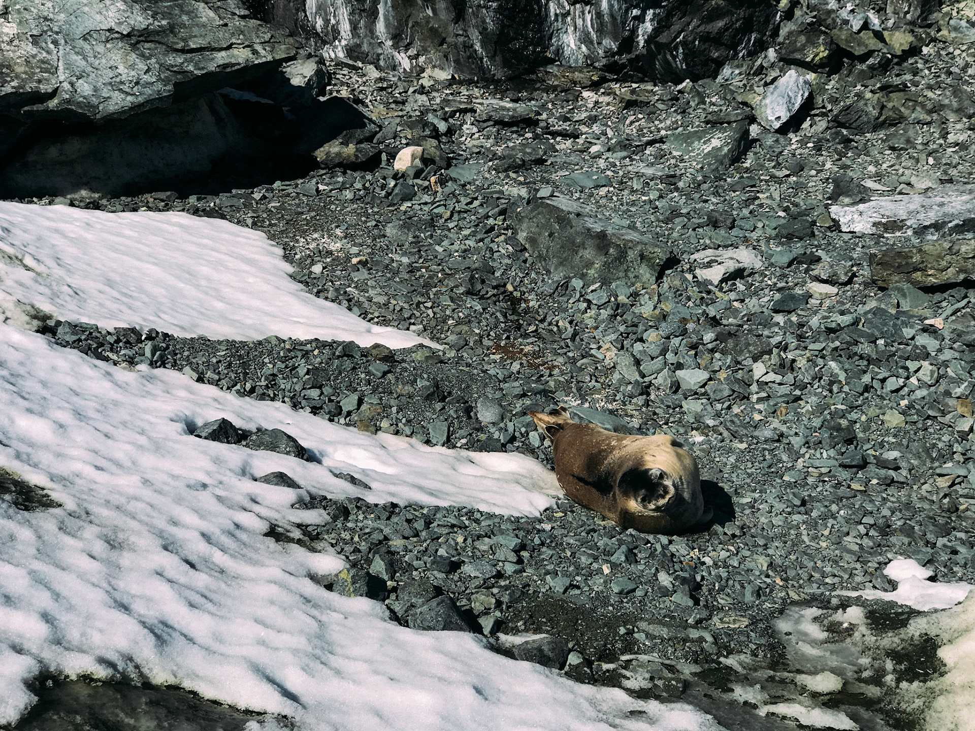 500px Photo ID: 201573365 -