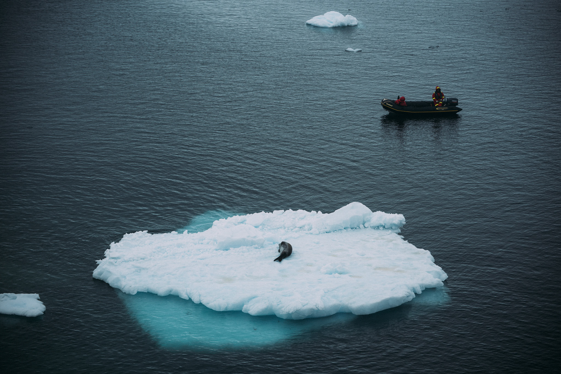 500px Photo ID: 201584389 -