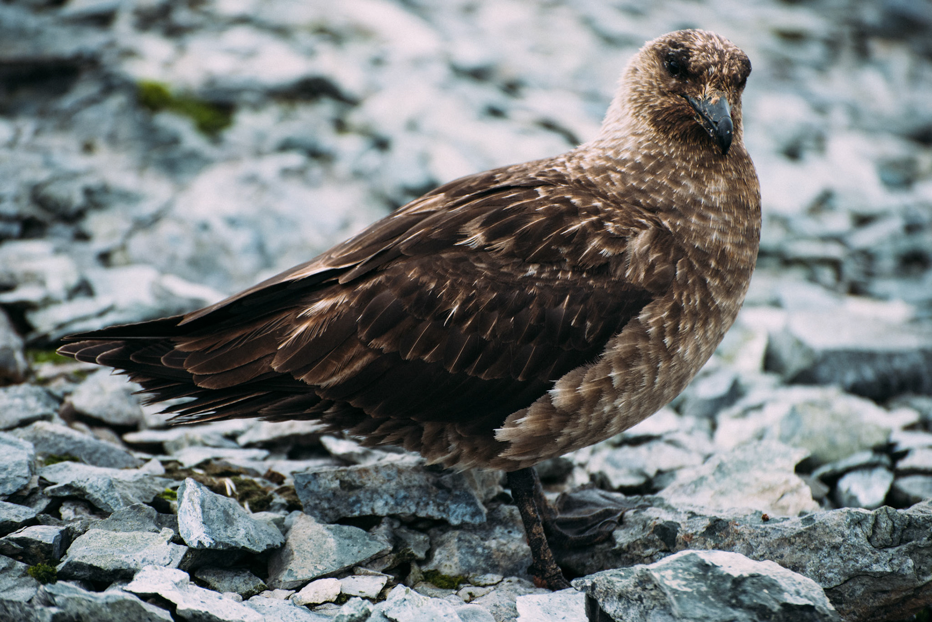 500px Photo ID: 201666005 -