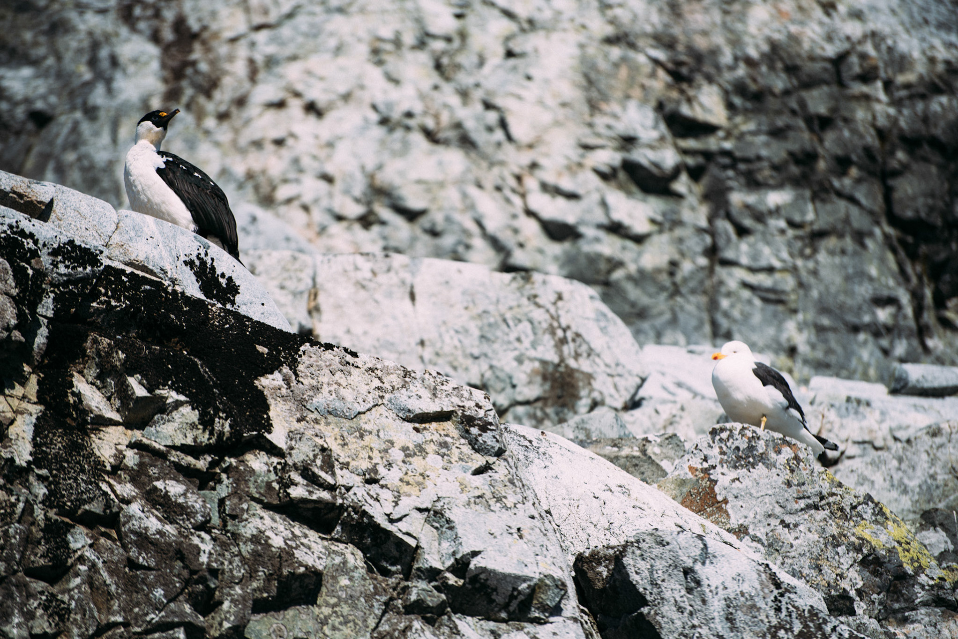 500px Photo ID: 201710459 -