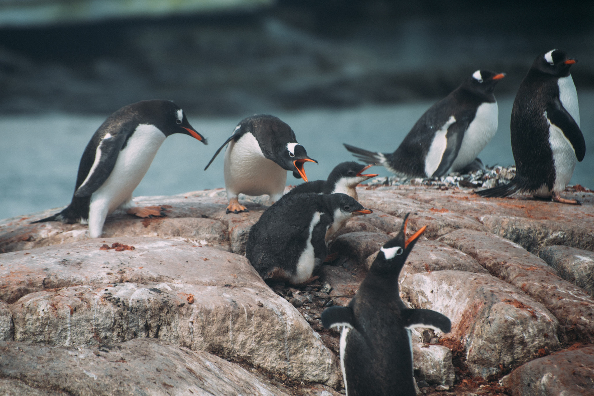 500px Photo ID: 201541997 -