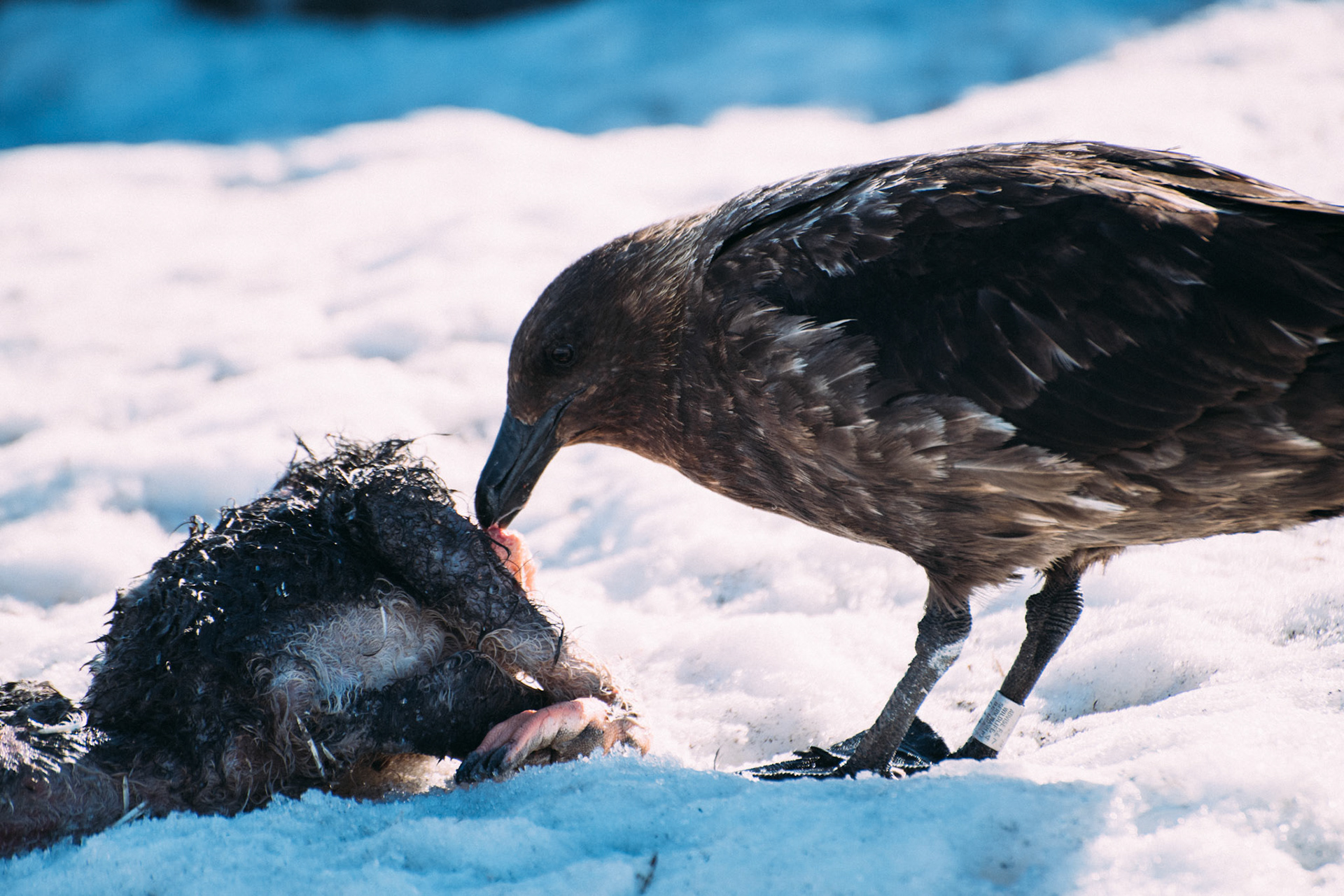 500px Photo ID: 201625671 -