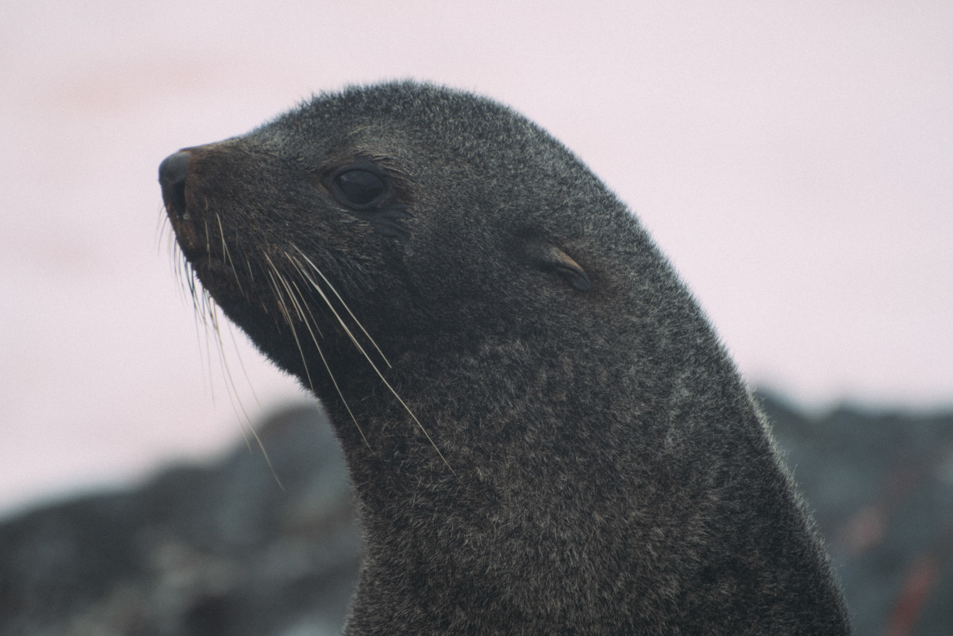 500px Photo ID: 201581267 -