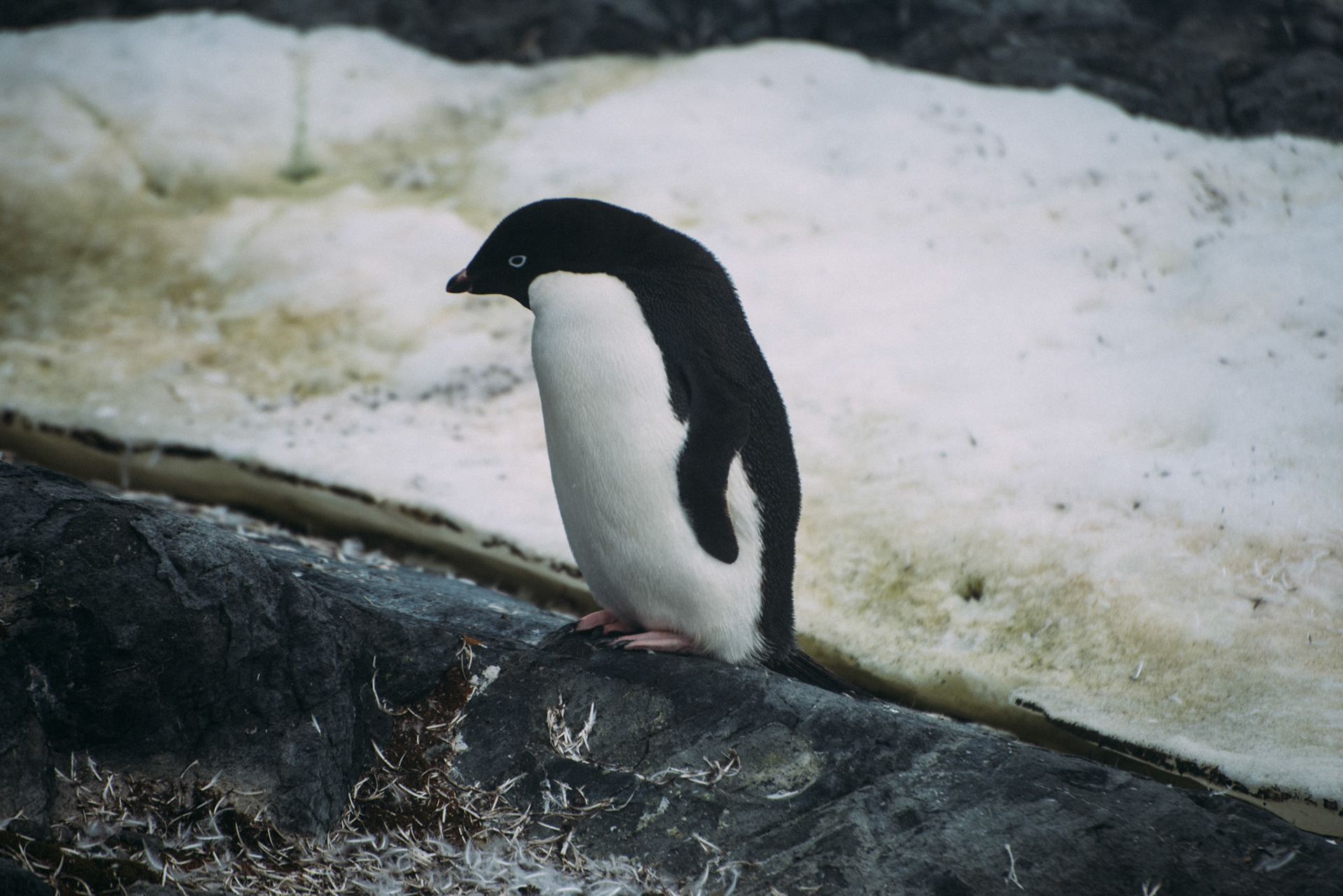 500px Photo ID: 201580603 -