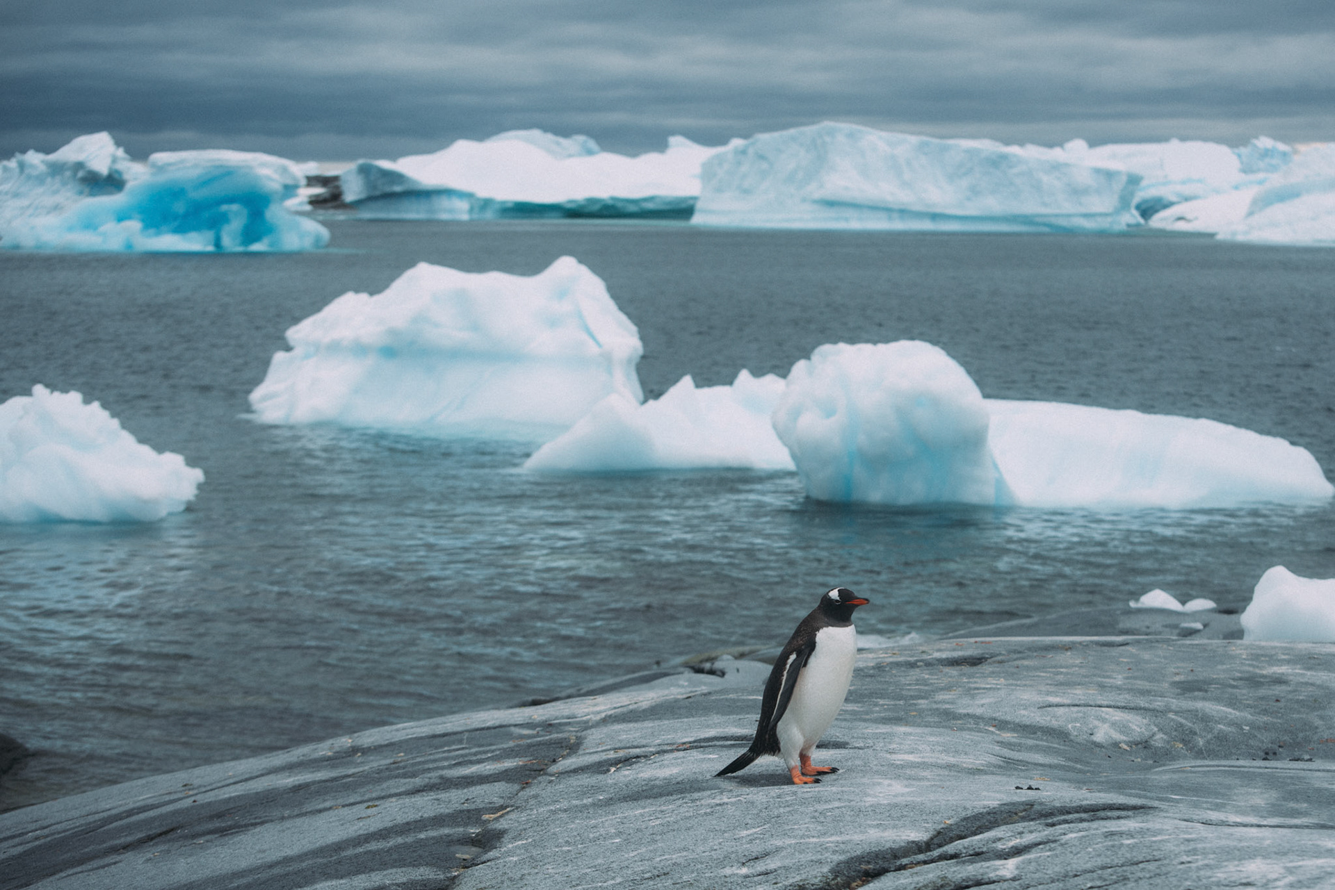 500px Photo ID: 201547095 -