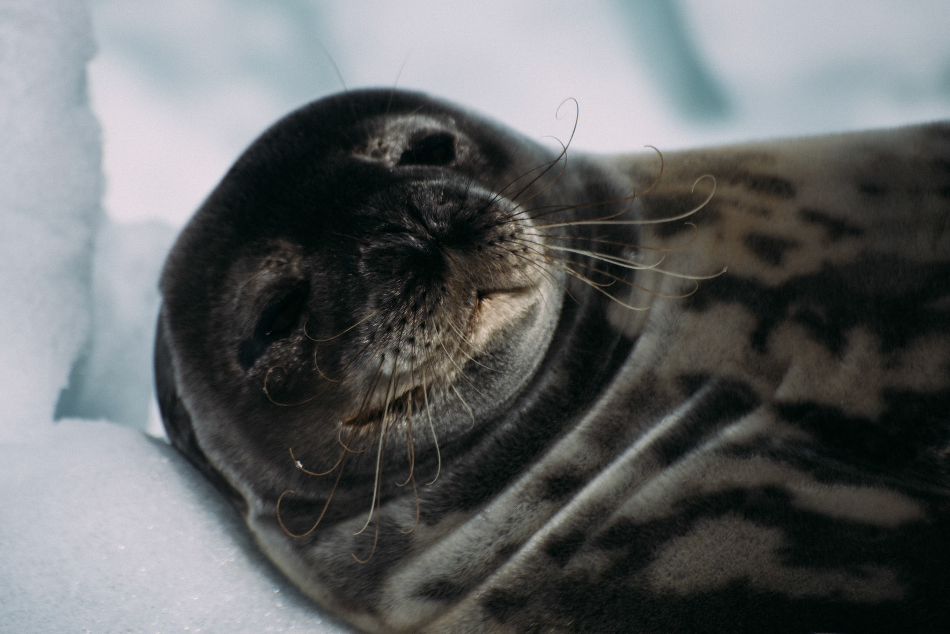 500px Photo ID: 201702639 -