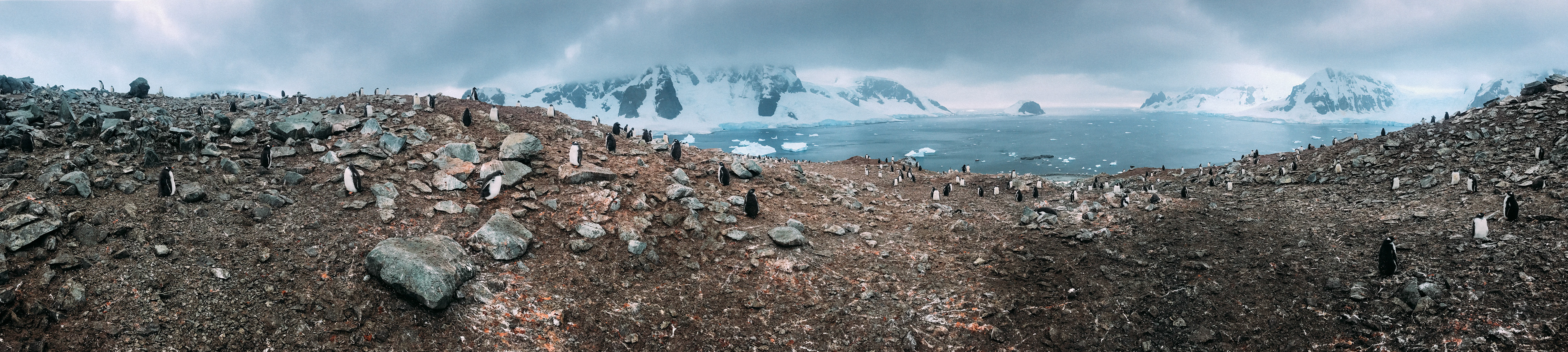 500px Photo ID: 201672933 -