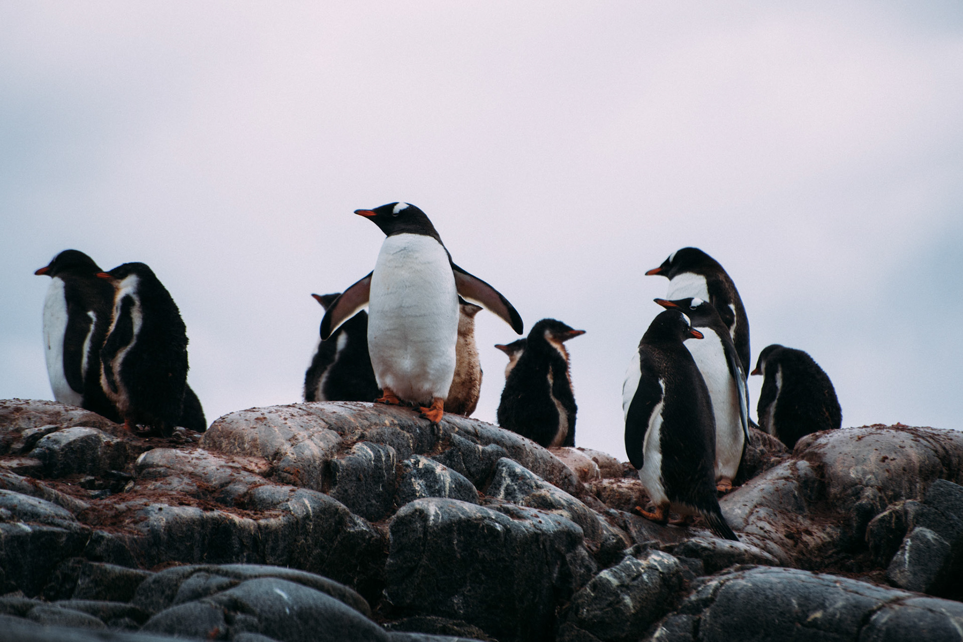 500px Photo ID: 201536025 -