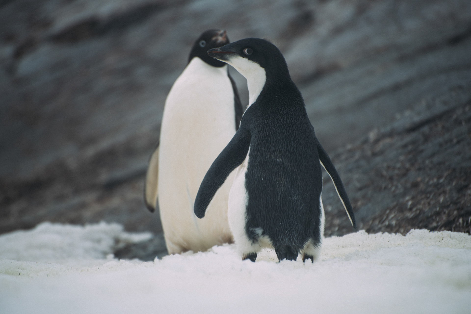 500px Photo ID: 201586503 -