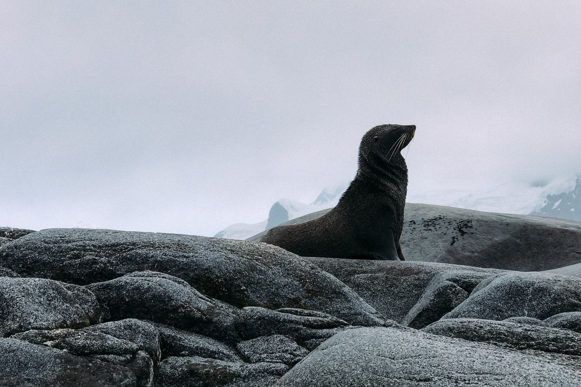 500px Photo ID: 201555607 -