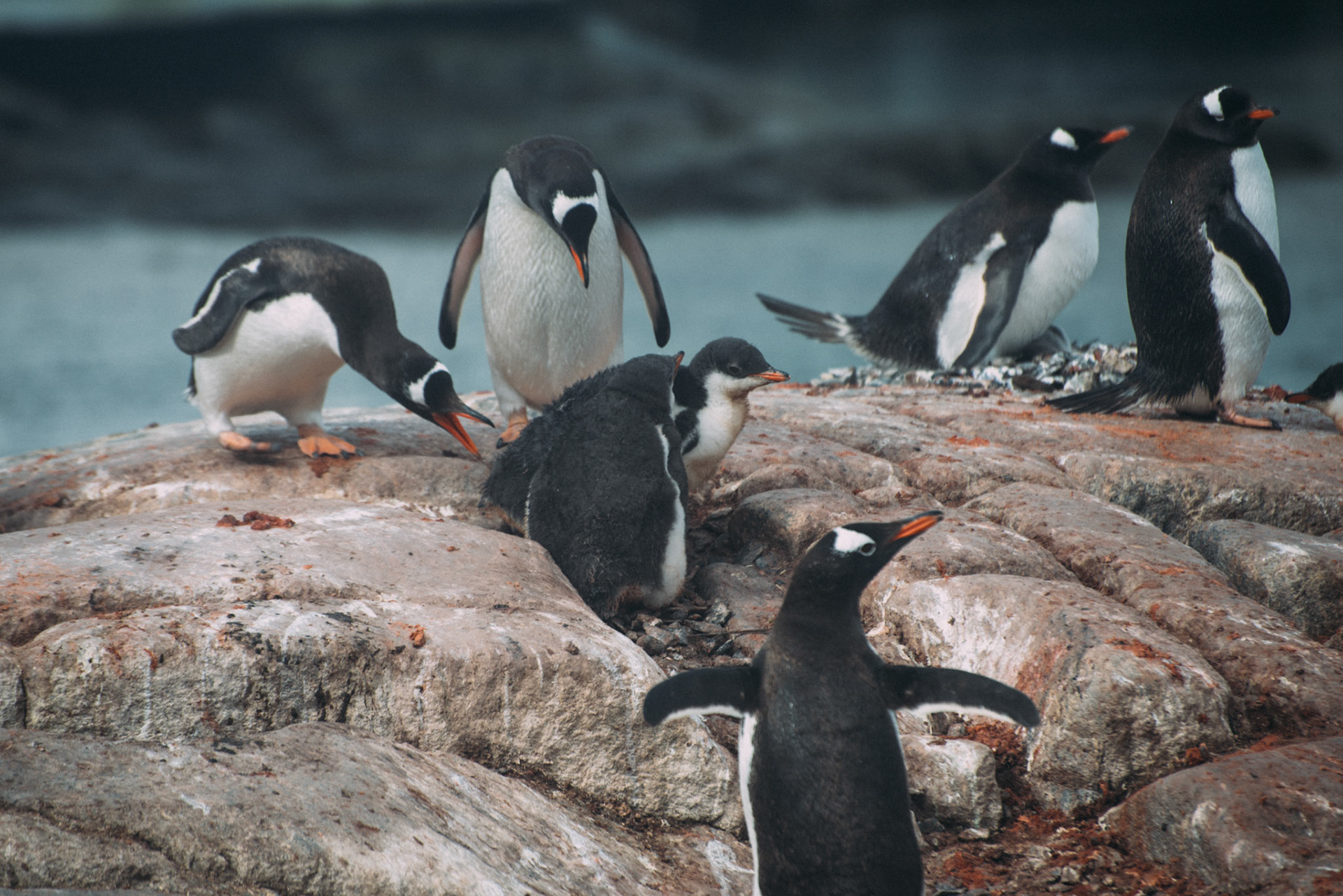 500px Photo ID: 201541337 -