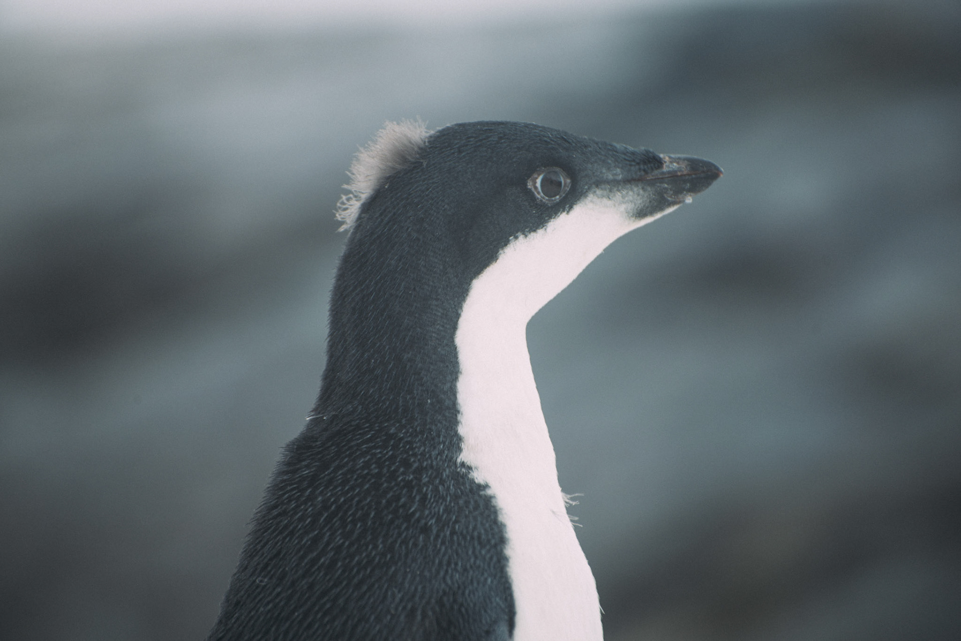 500px Photo ID: 201586759 -