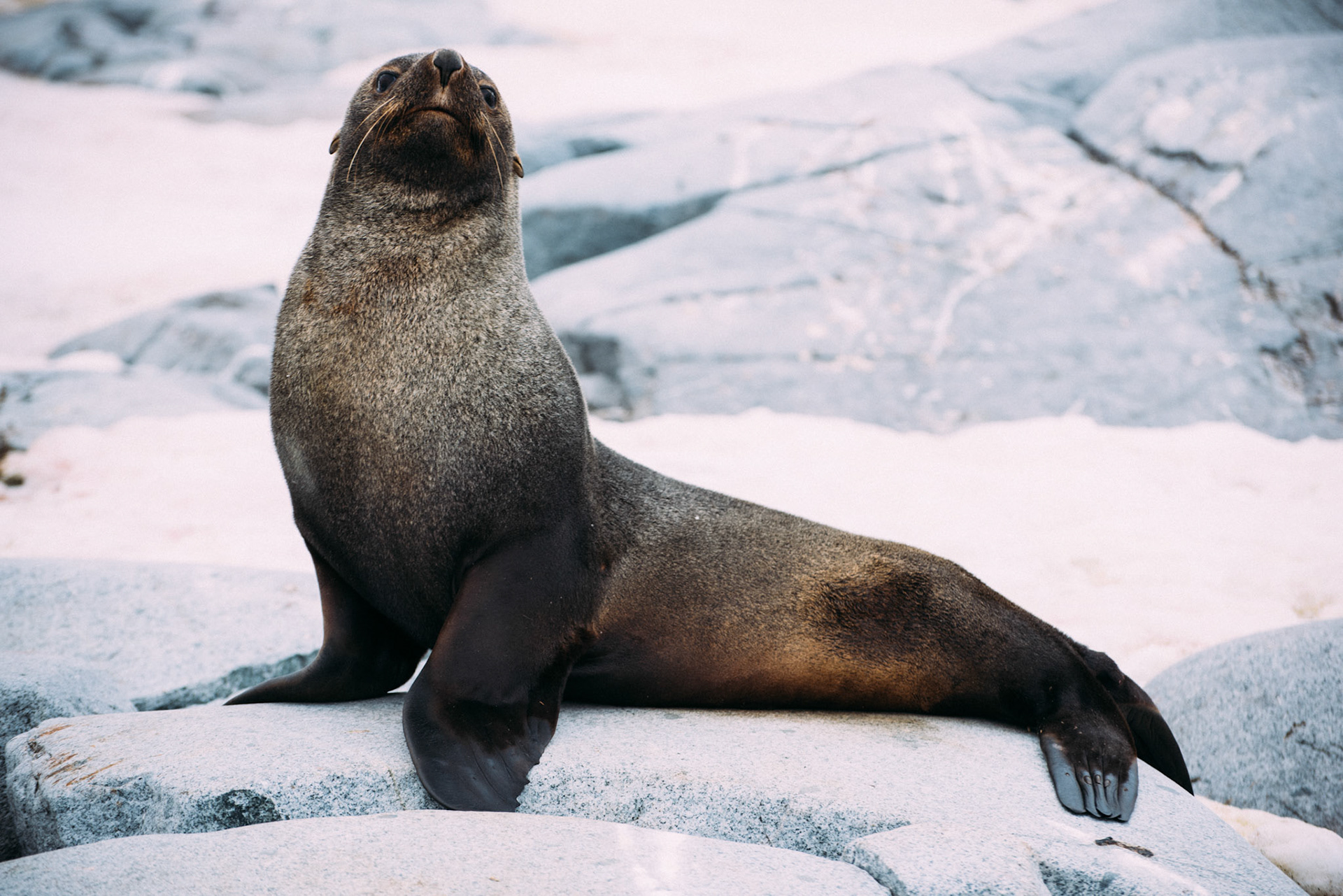 500px Photo ID: 201594167 -