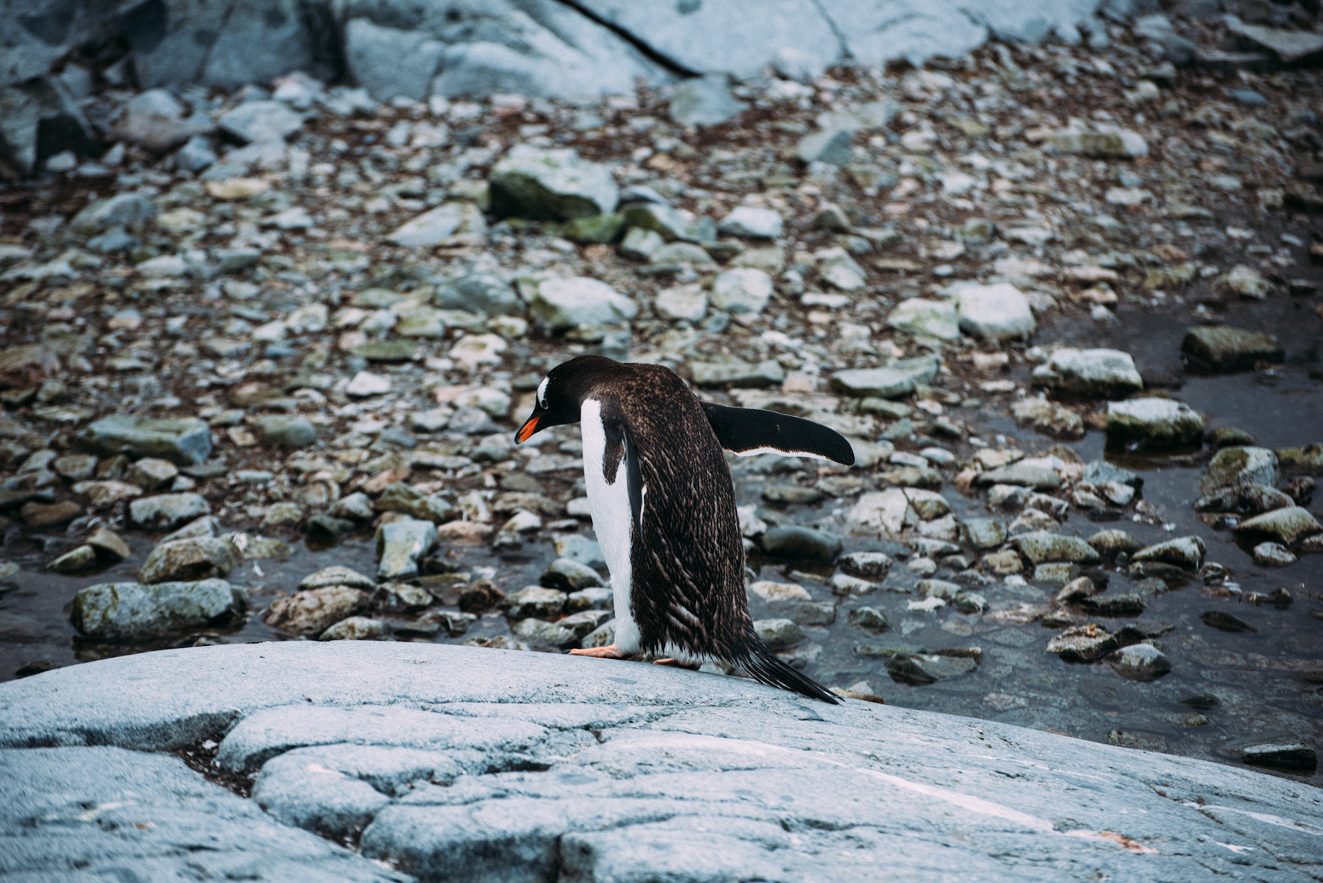 500px Photo ID: 201596357 -