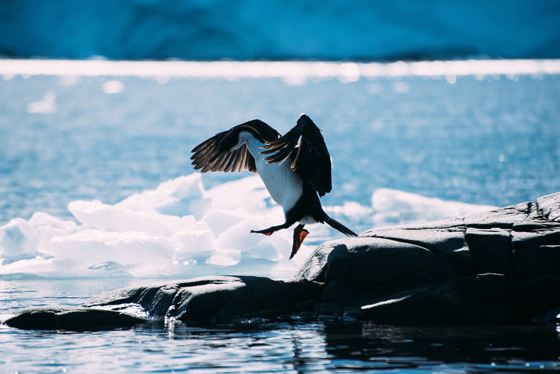 500px Photo ID: 201630873 -