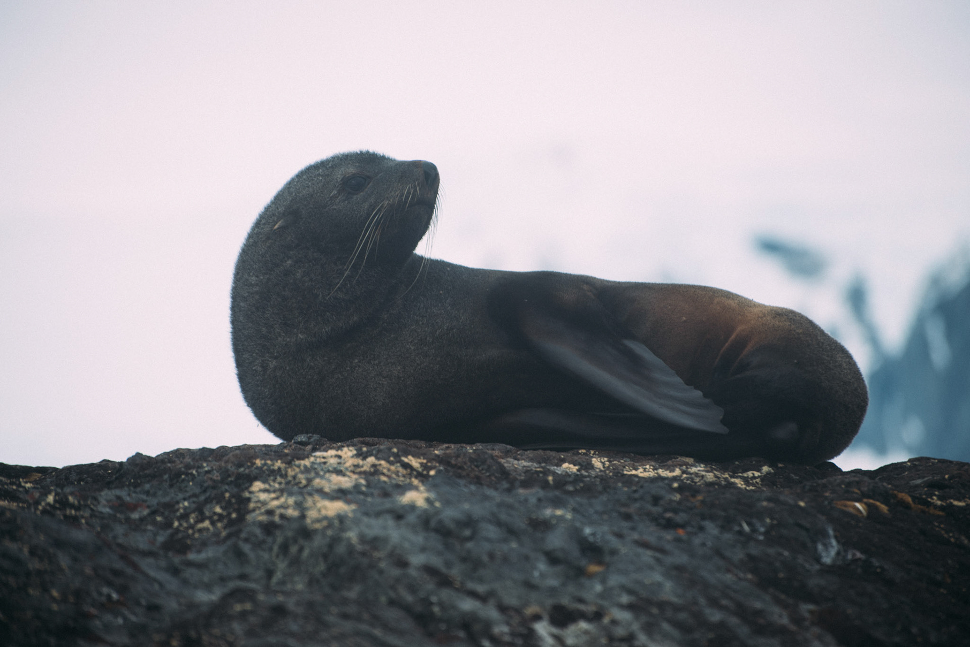 500px Photo ID: 201579329 -