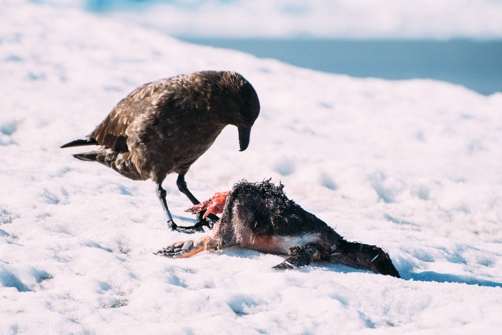 500px Photo ID: 201623257 -