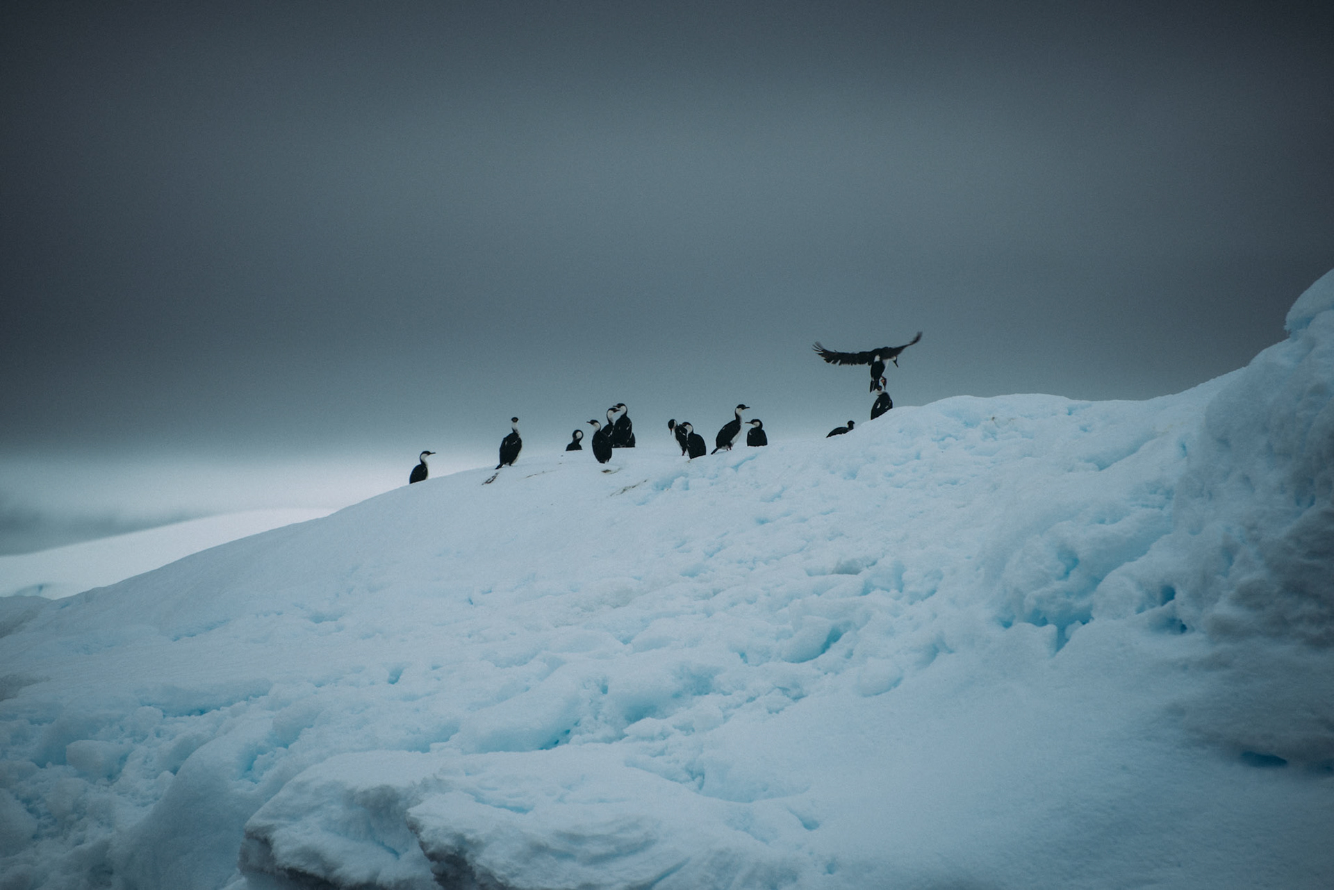 500px Photo ID: 201578691 -