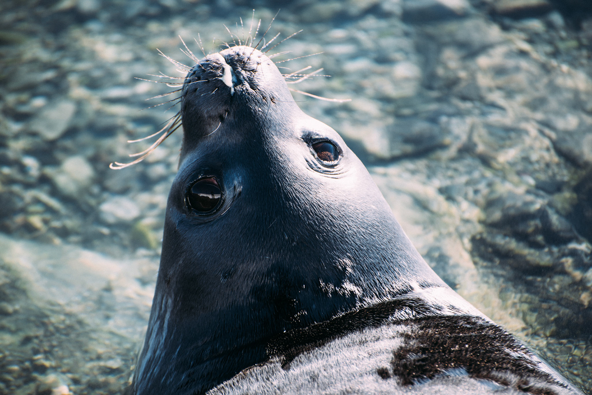 500px Photo ID: 201709361 -