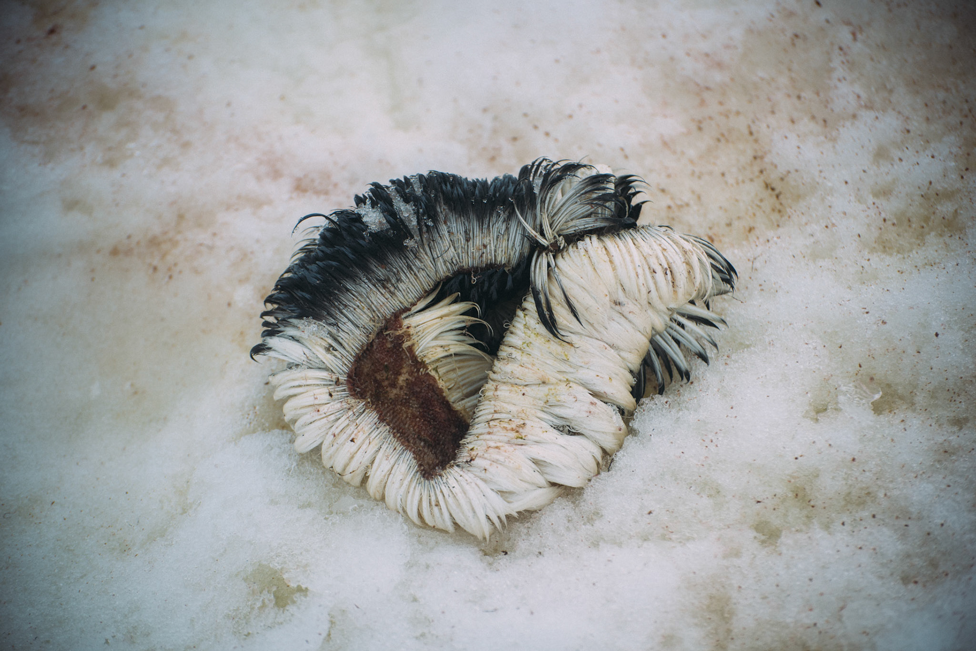 500px Photo ID: 201582643 -