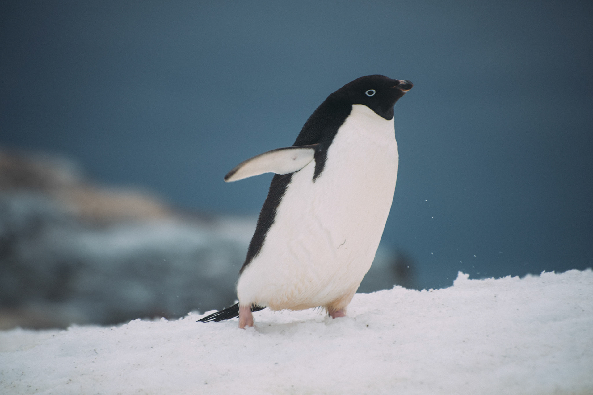 500px Photo ID: 201585605 -