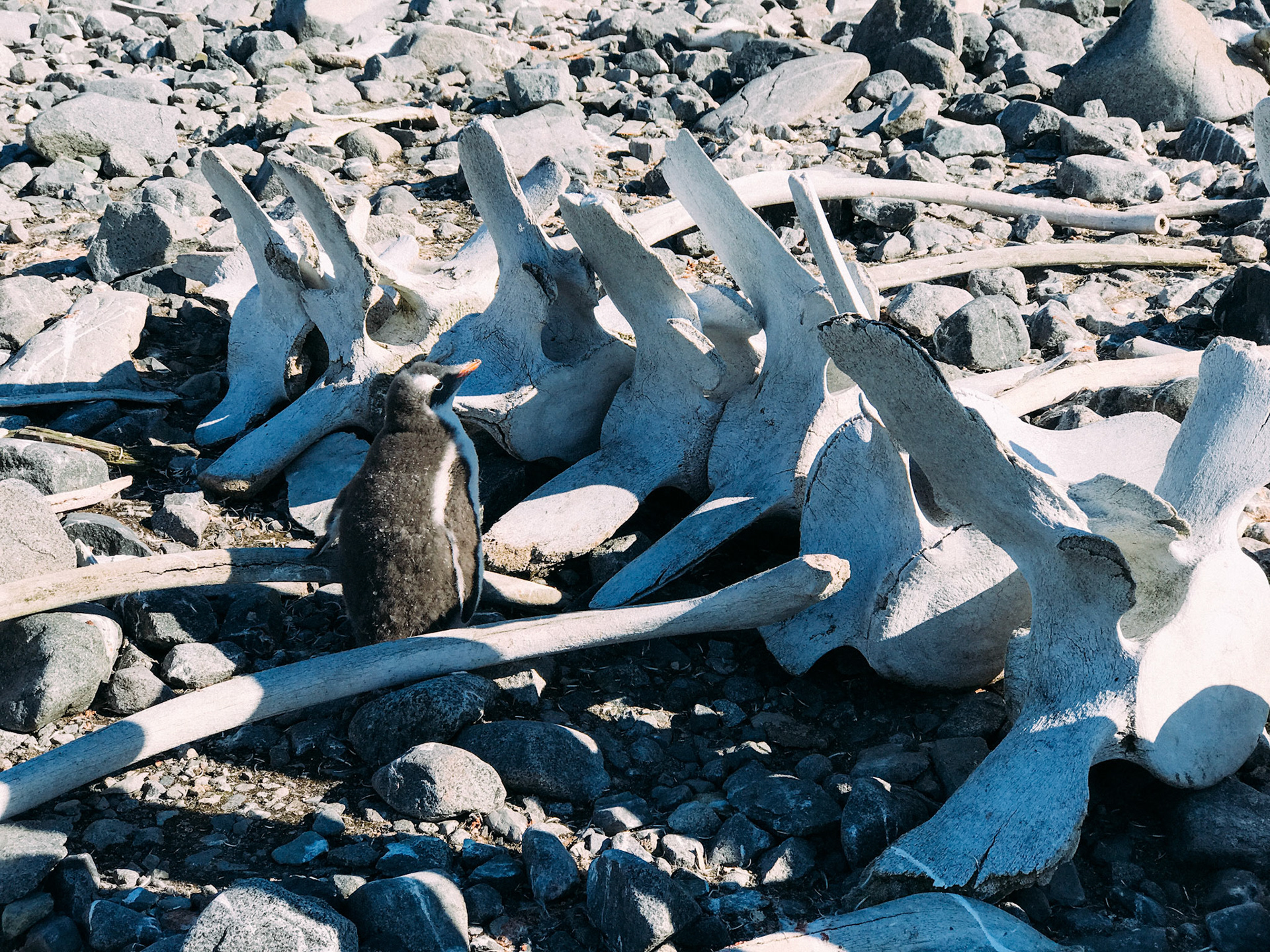 500px Photo ID: 201658367 -