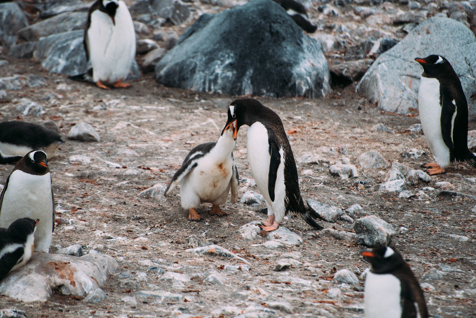 500px Photo ID: 201589017 -