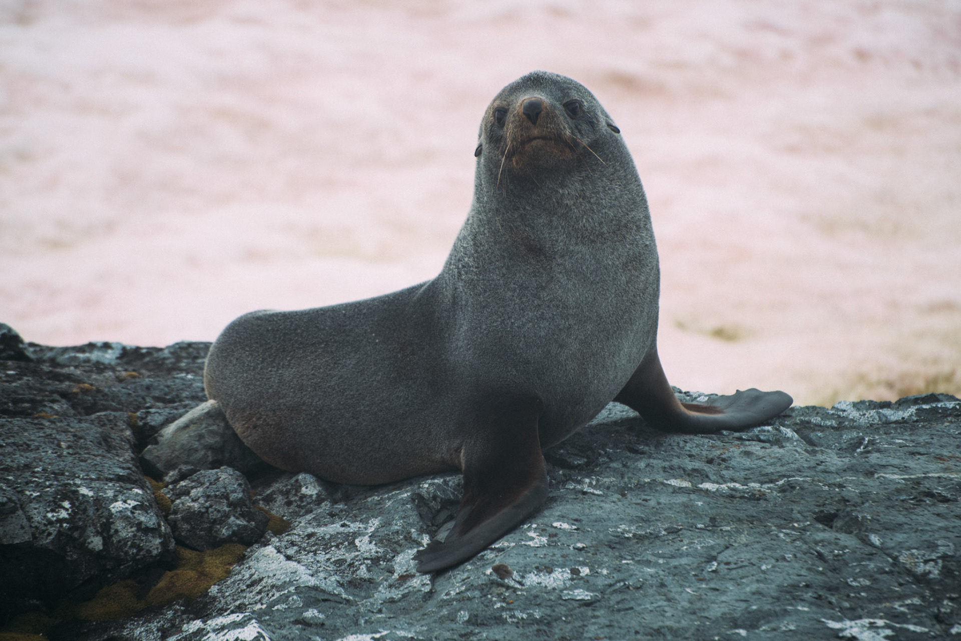 500px Photo ID: 201581601 -