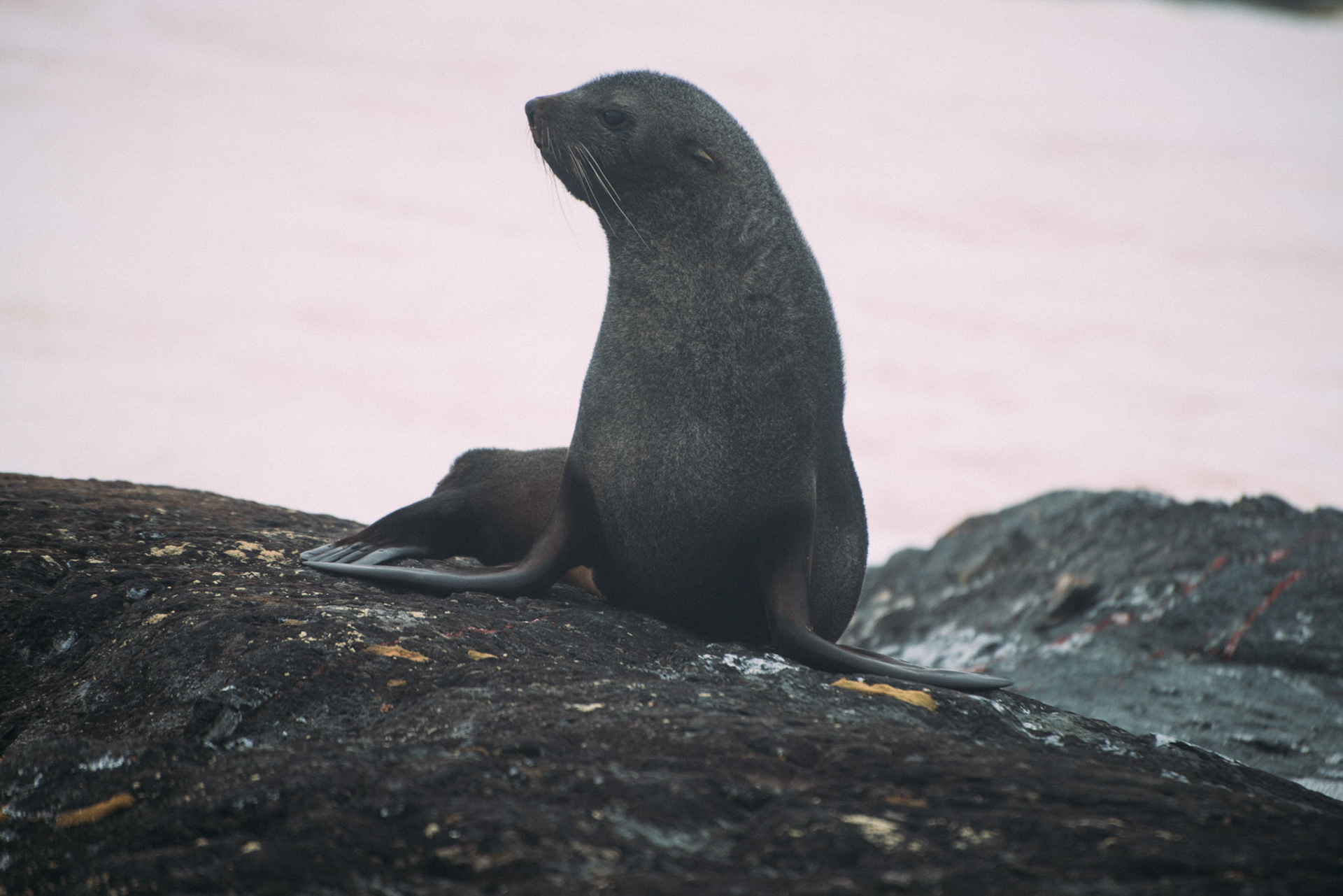 500px Photo ID: 201580927 -