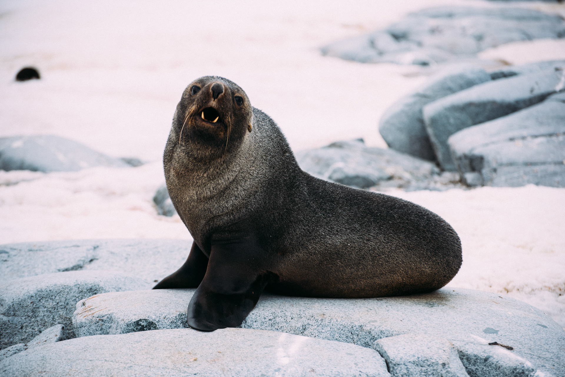 500px Photo ID: 201593637 -