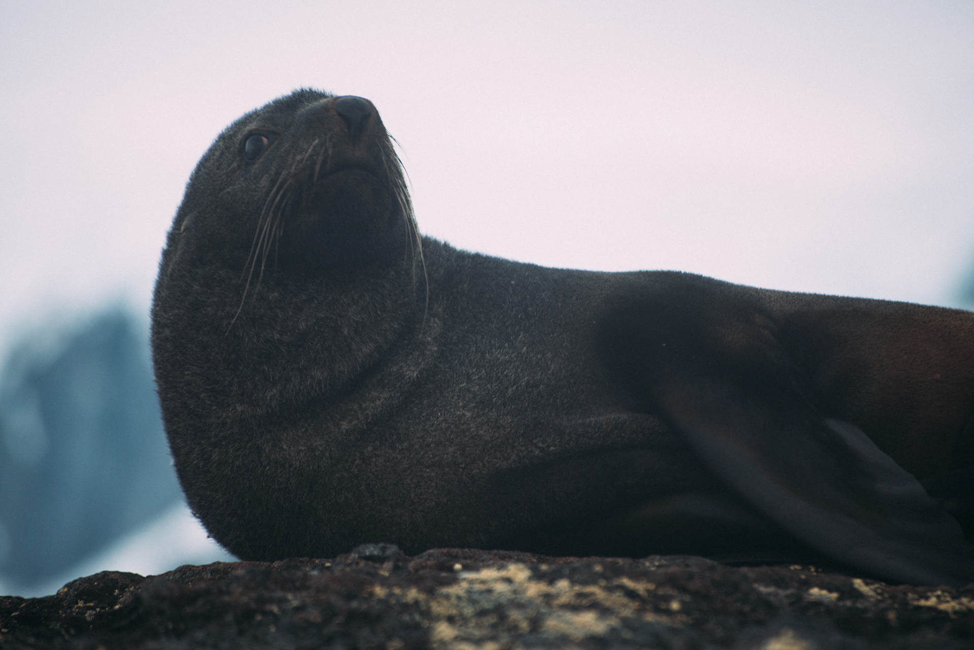 500px Photo ID: 201579723 -