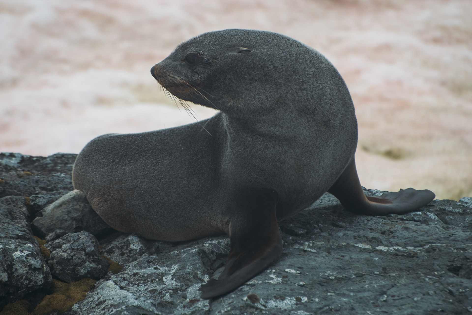 500px Photo ID: 201581869 -