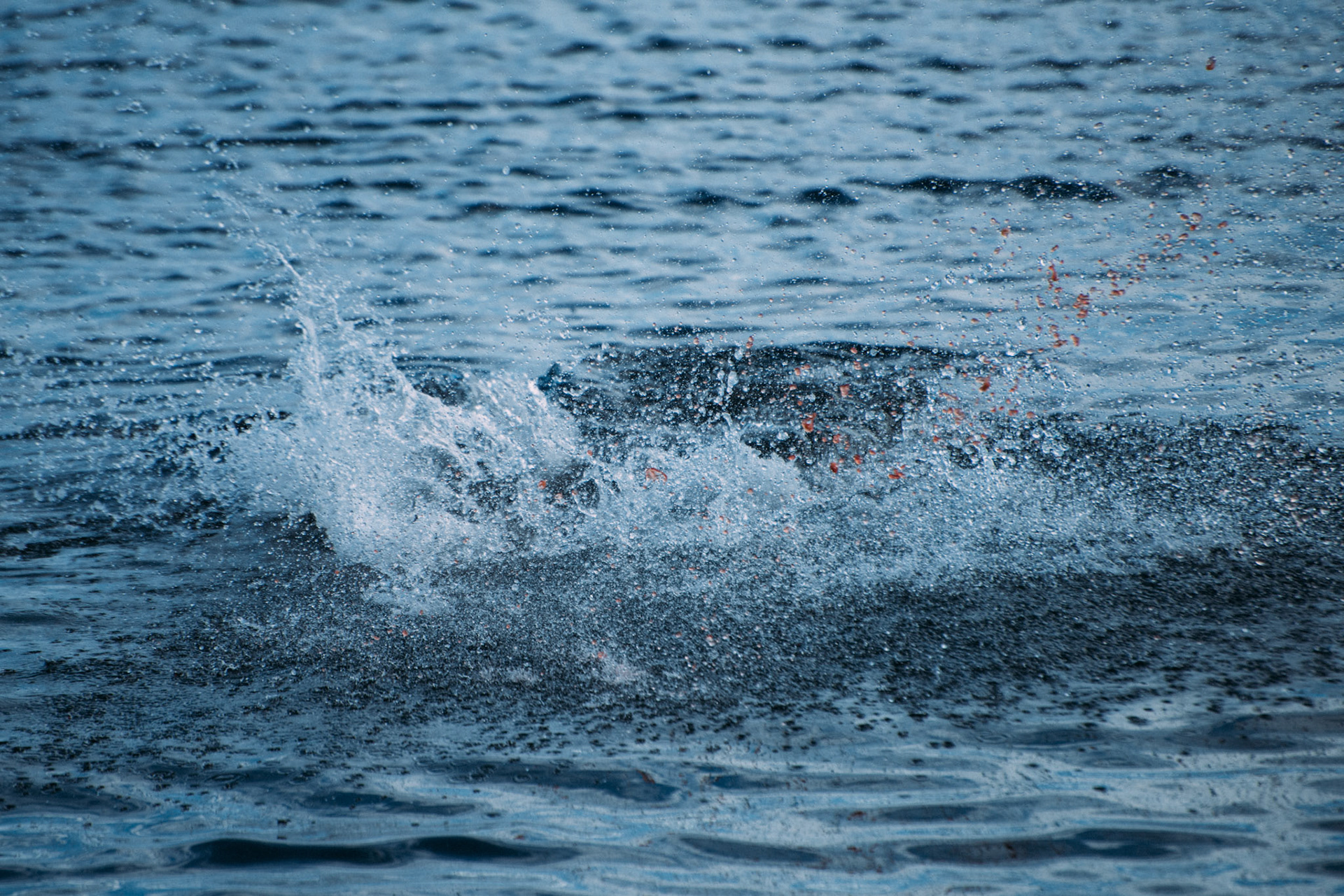 500px Photo ID: 201631469 -