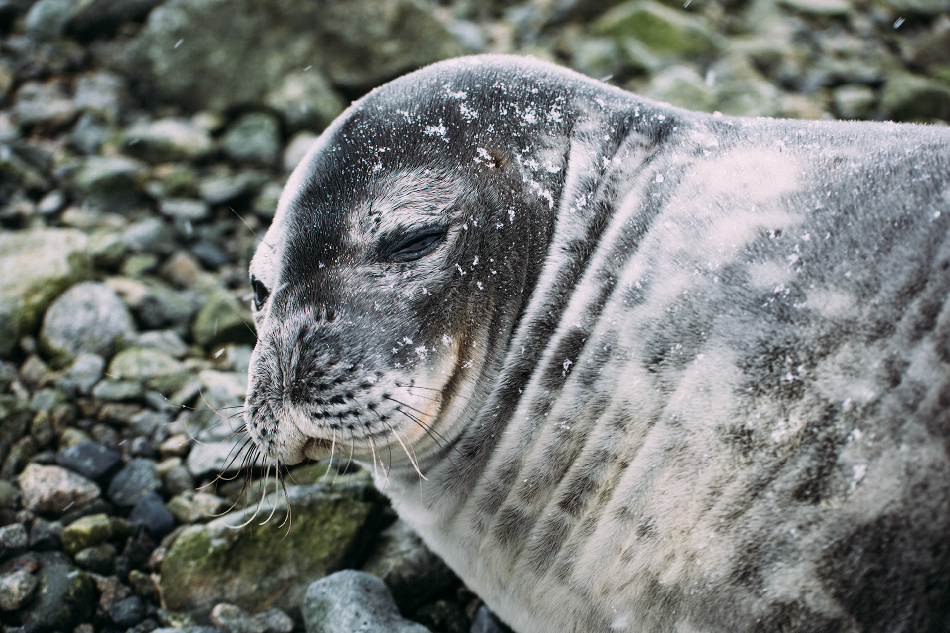 500px Photo ID: 201700023 -