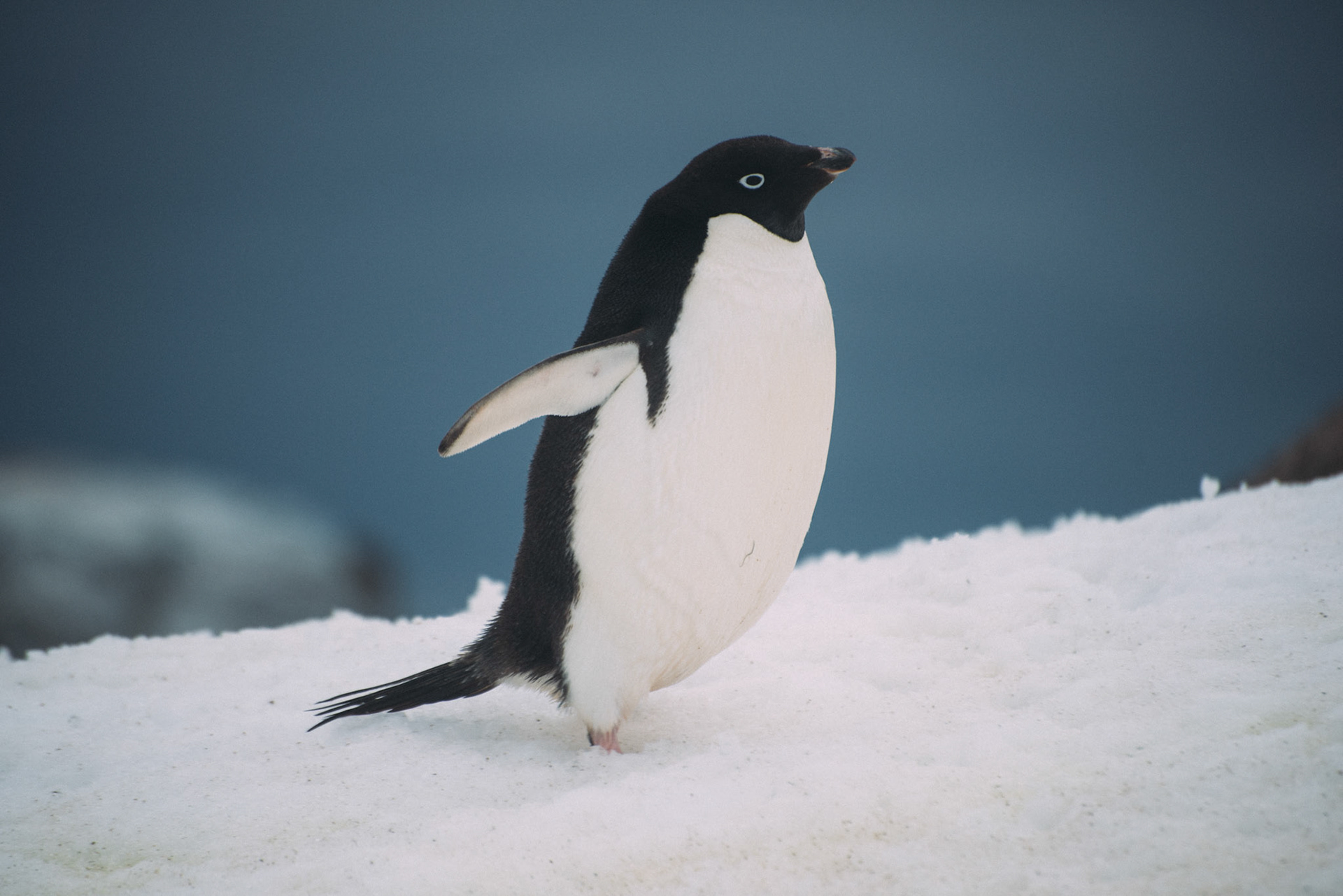 500px Photo ID: 201585963 -