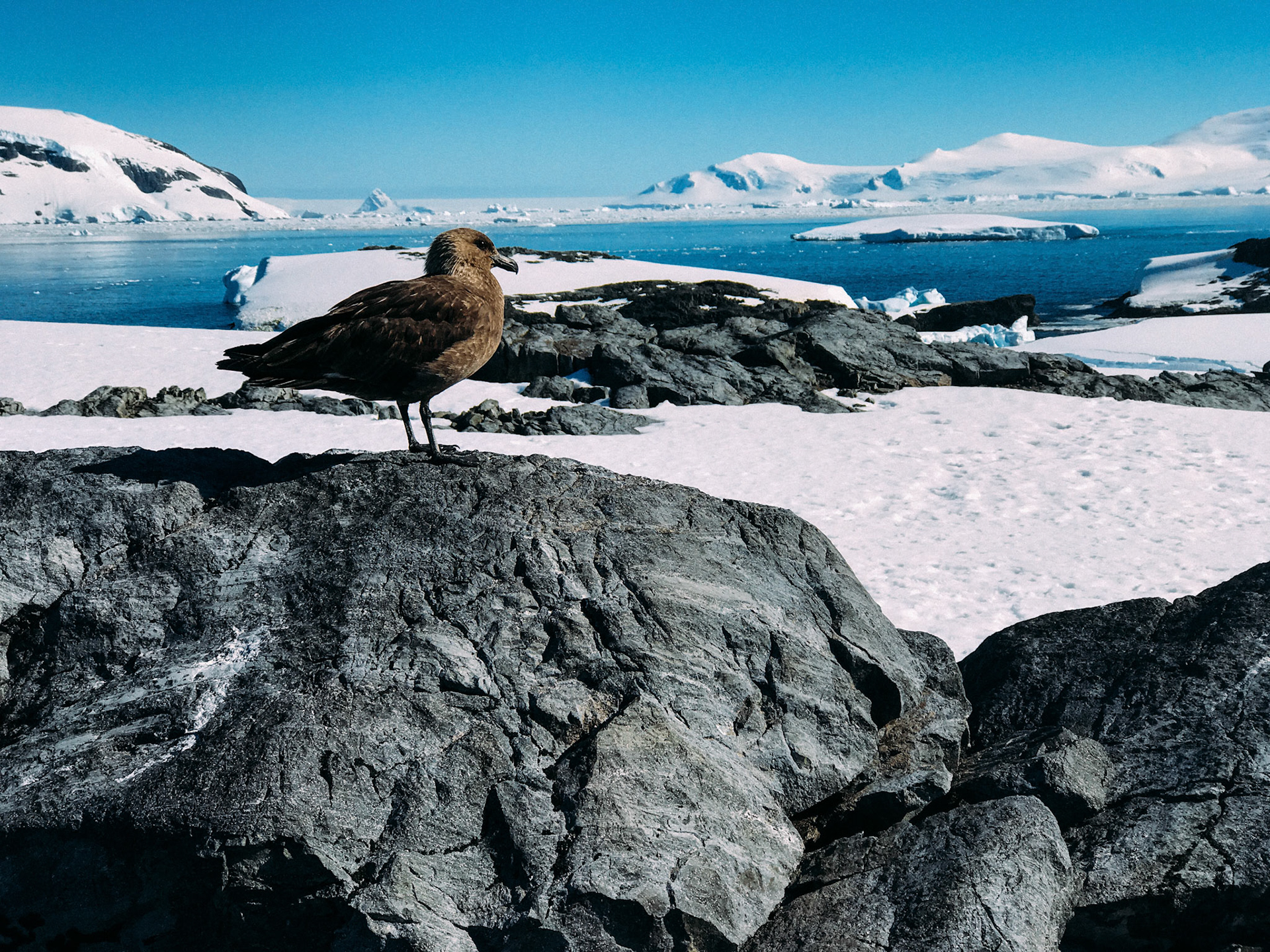 500px Photo ID: 201574987 -