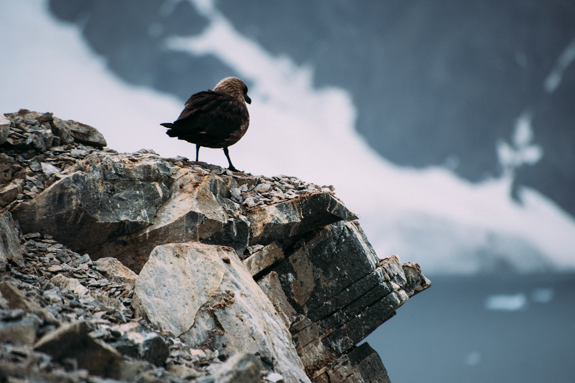 500px Photo ID: 201667069 -