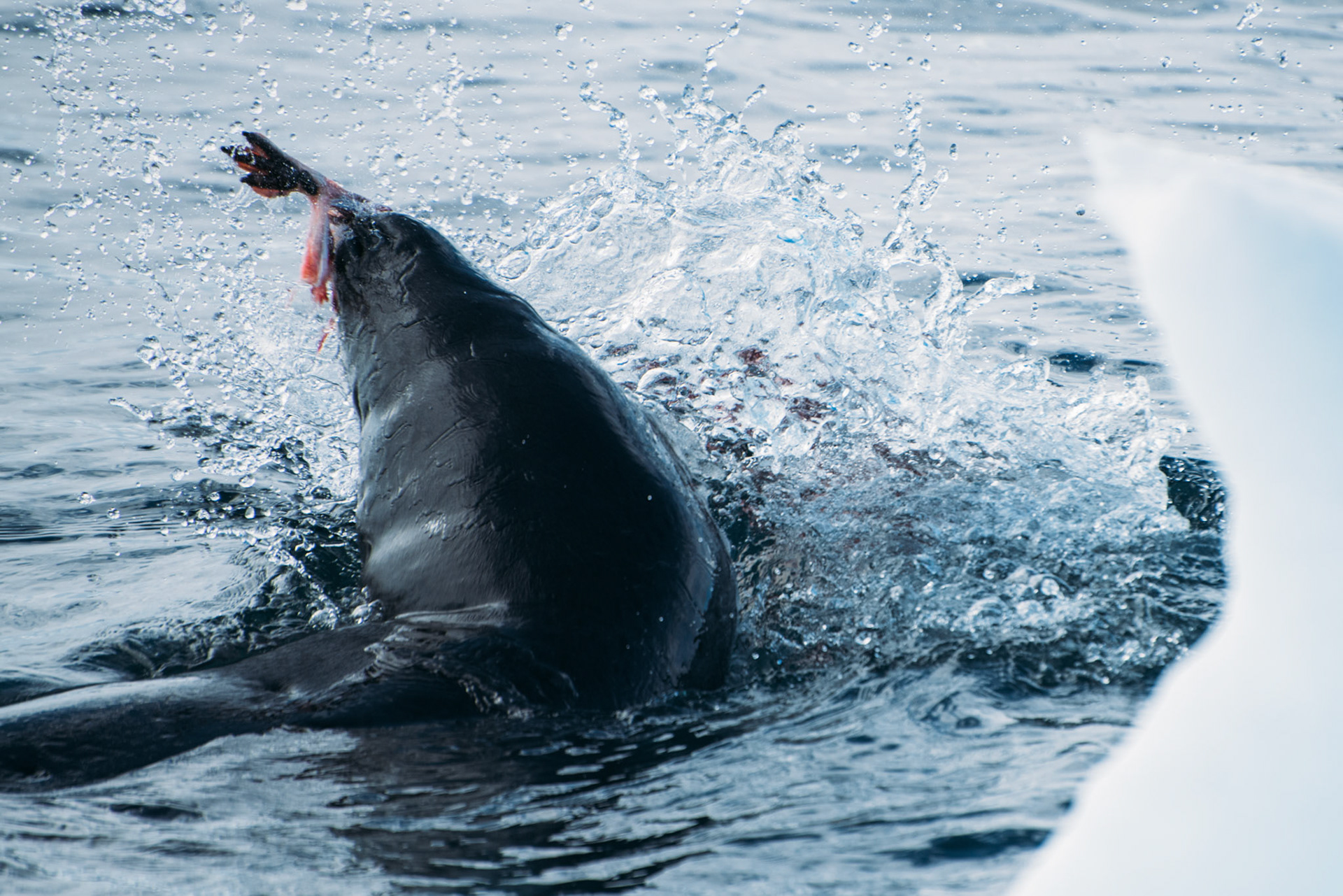 500px Photo ID: 201637911 -