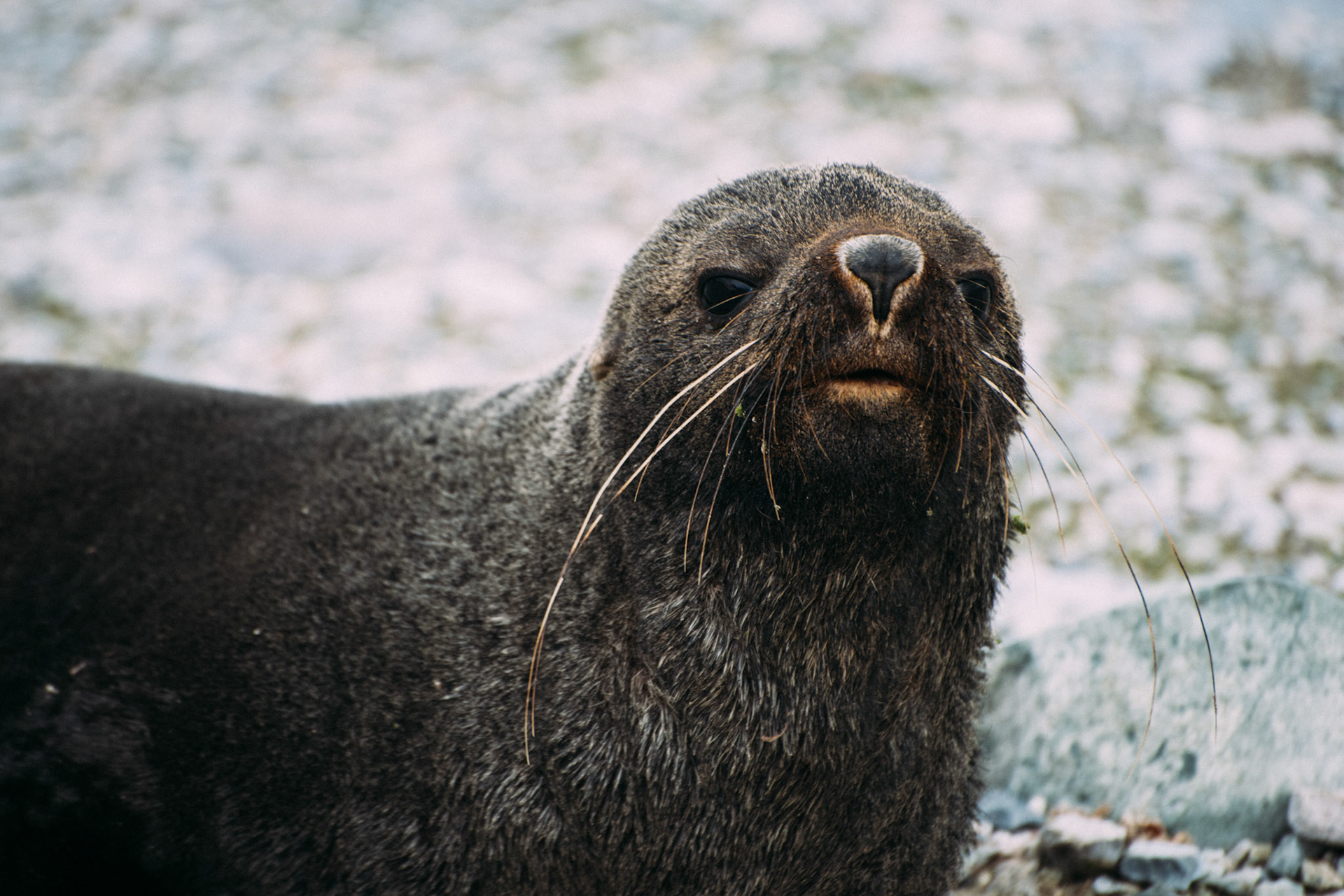 500px Photo ID: 201671477 -