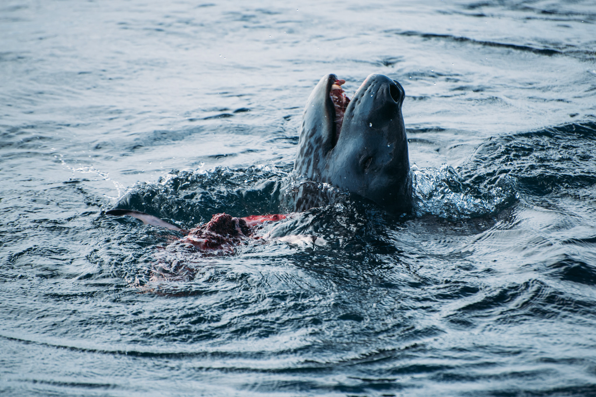 500px Photo ID: 201678383 -