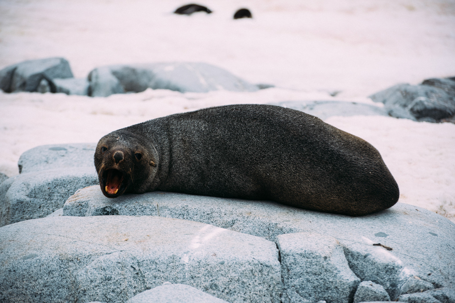 500px Photo ID: 201592273 -